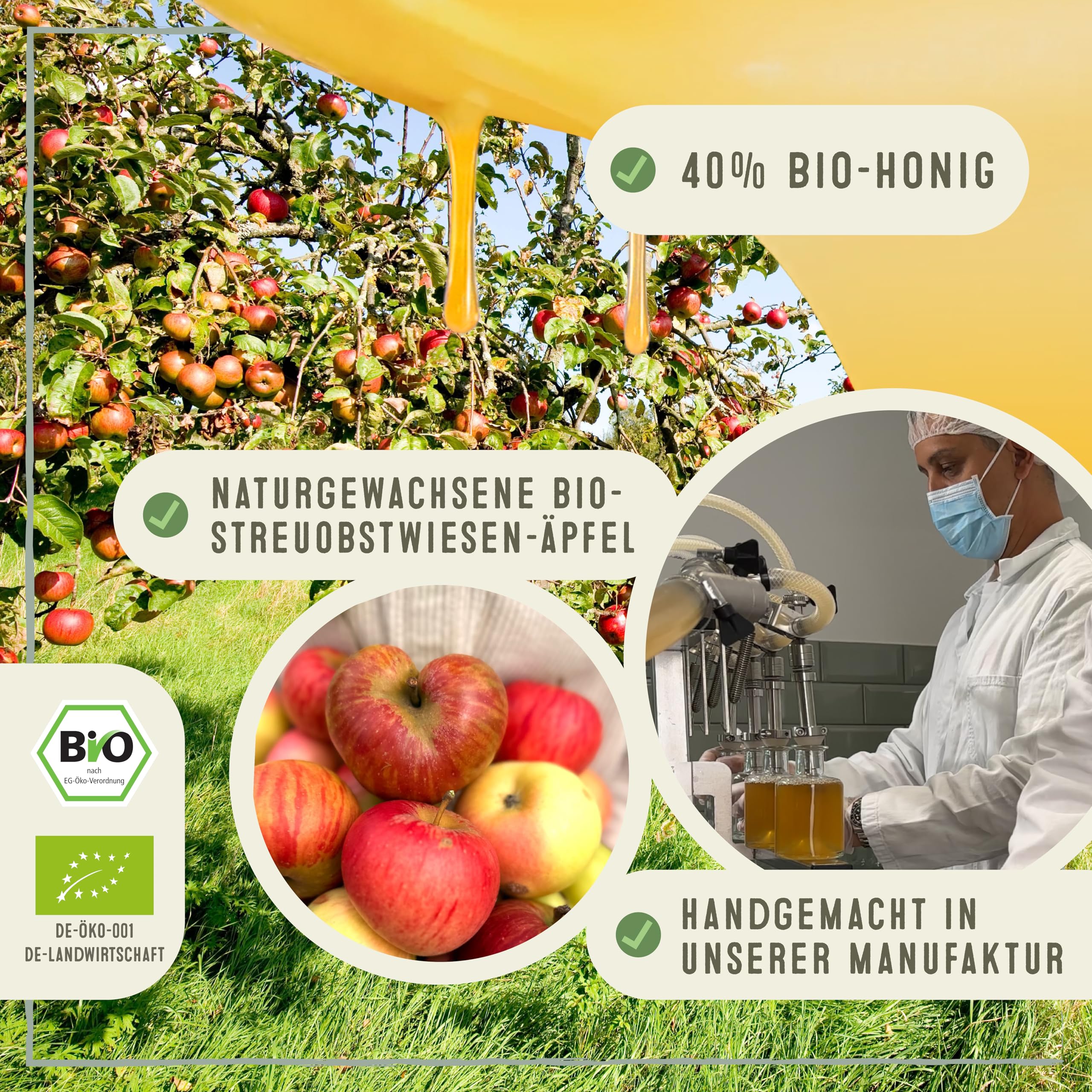 Vinagre de manzana ecológico con miel, paquete de 6 unidades: suave y natural, con madre de vinagre y miel ecológica. REZEPTUR 1779 de DR. HÖHL’S. Producto artesanal elaborado con manzanas alemanes.