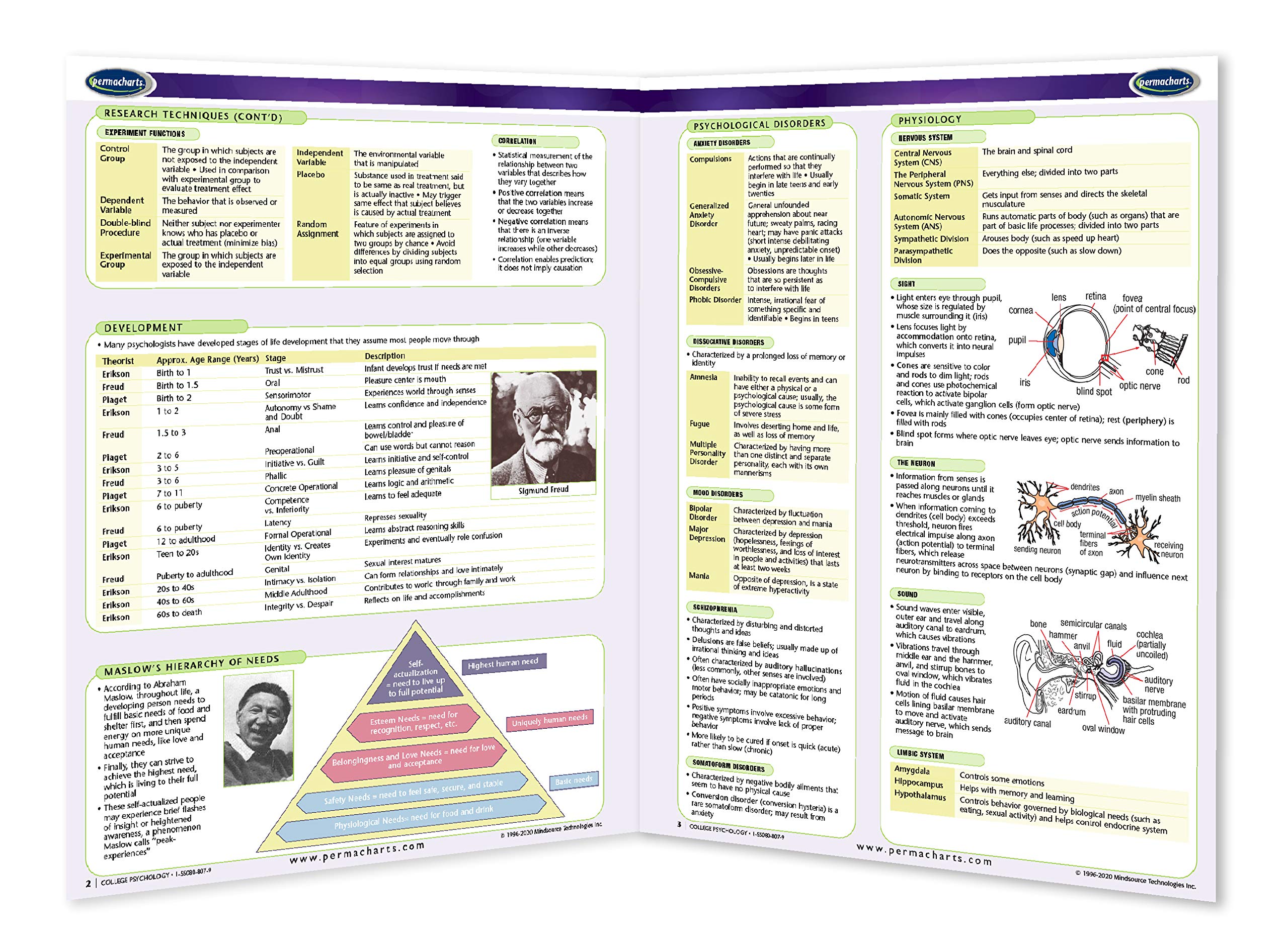 College Psychology Guide - Academics Quick Reference Guide by Permacharts - Image 2
