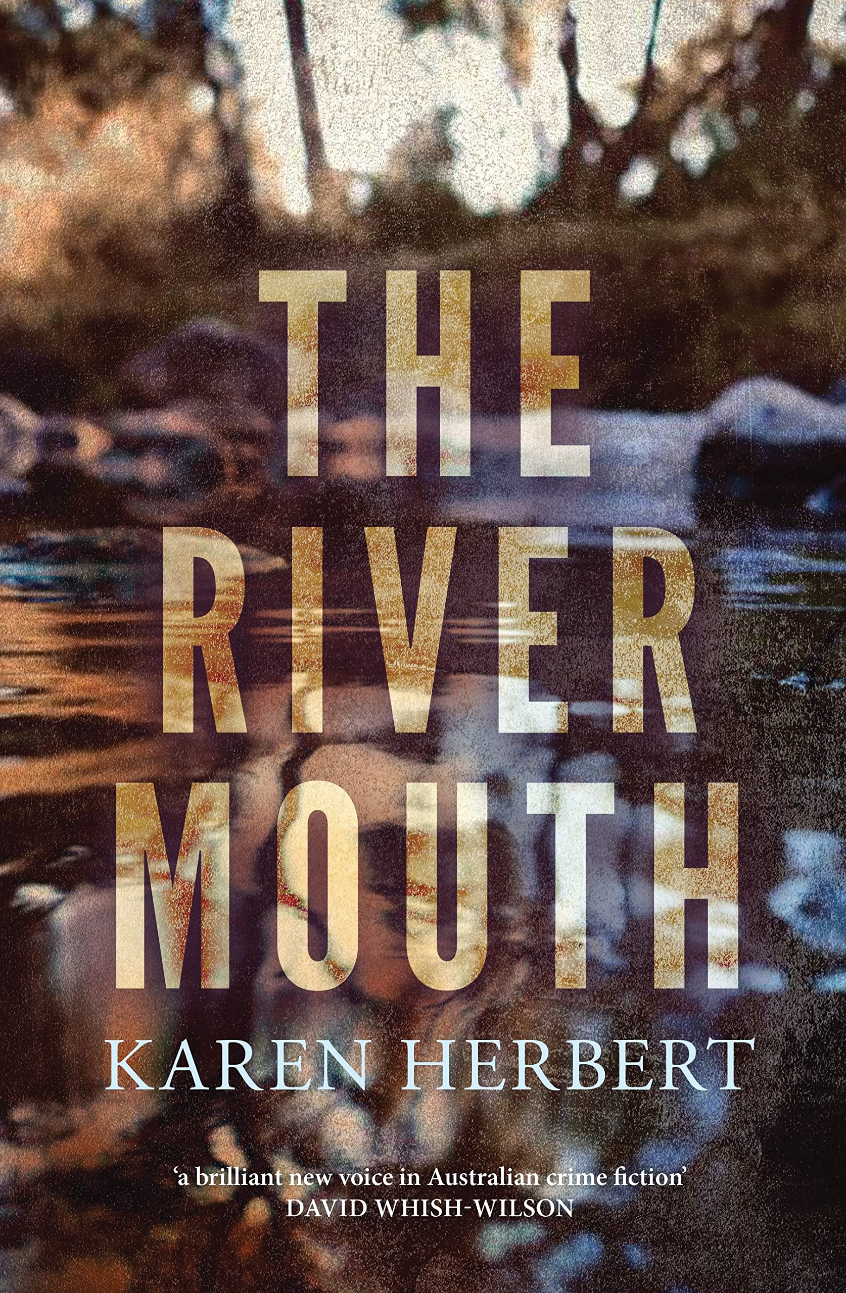 Buy The River Mouth — BookShops.in