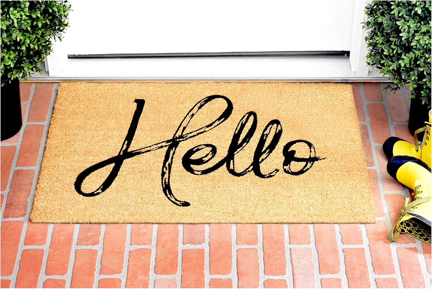 Calloway Mills AZ104762436 Canty Hello Doormat 24" x 36"