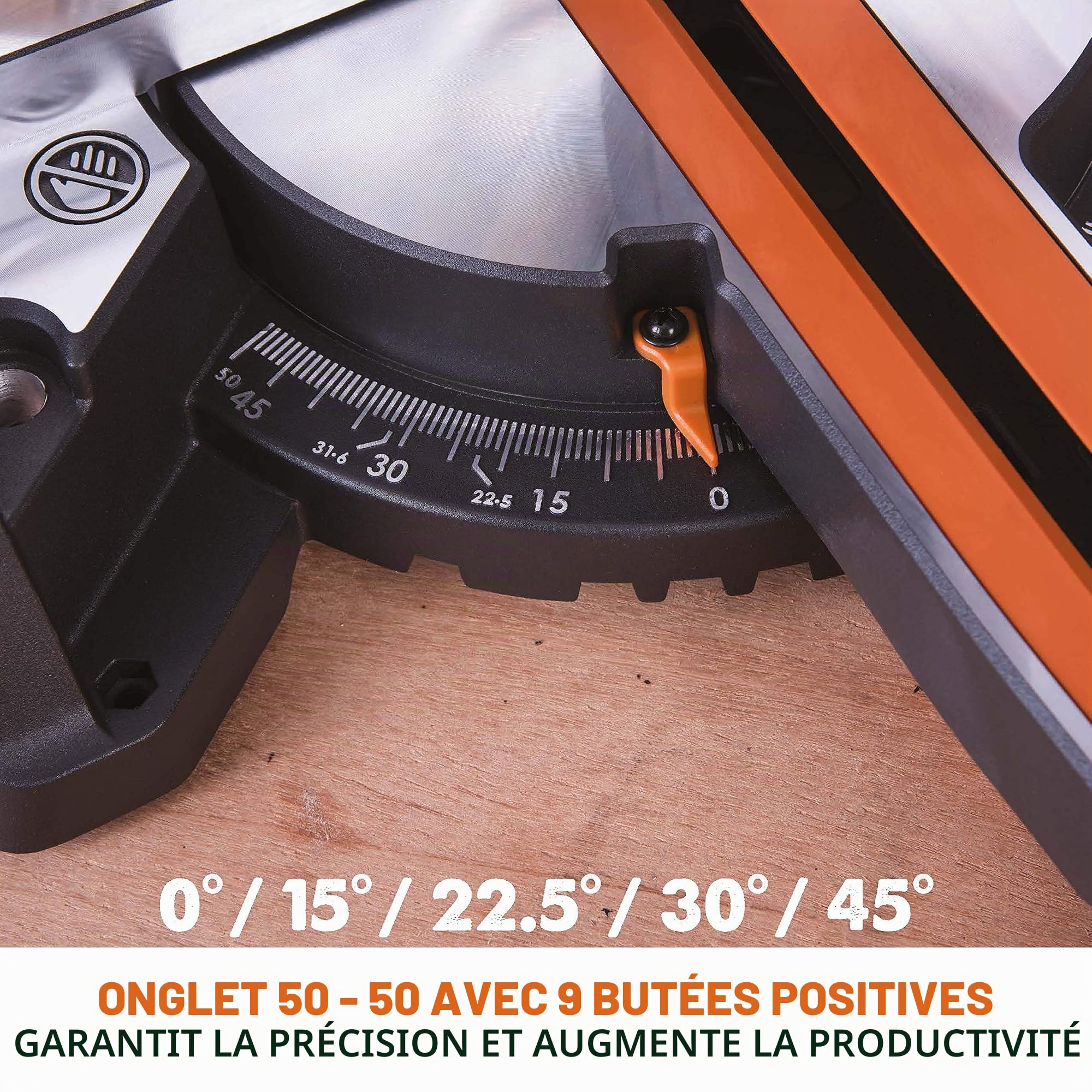 Evolution Power Tools - Scie à Onglets Coulissante Multi-Matériaux R210SMS+ avec le Pack Plus, 210 mm (230 V) (Lot de 2)