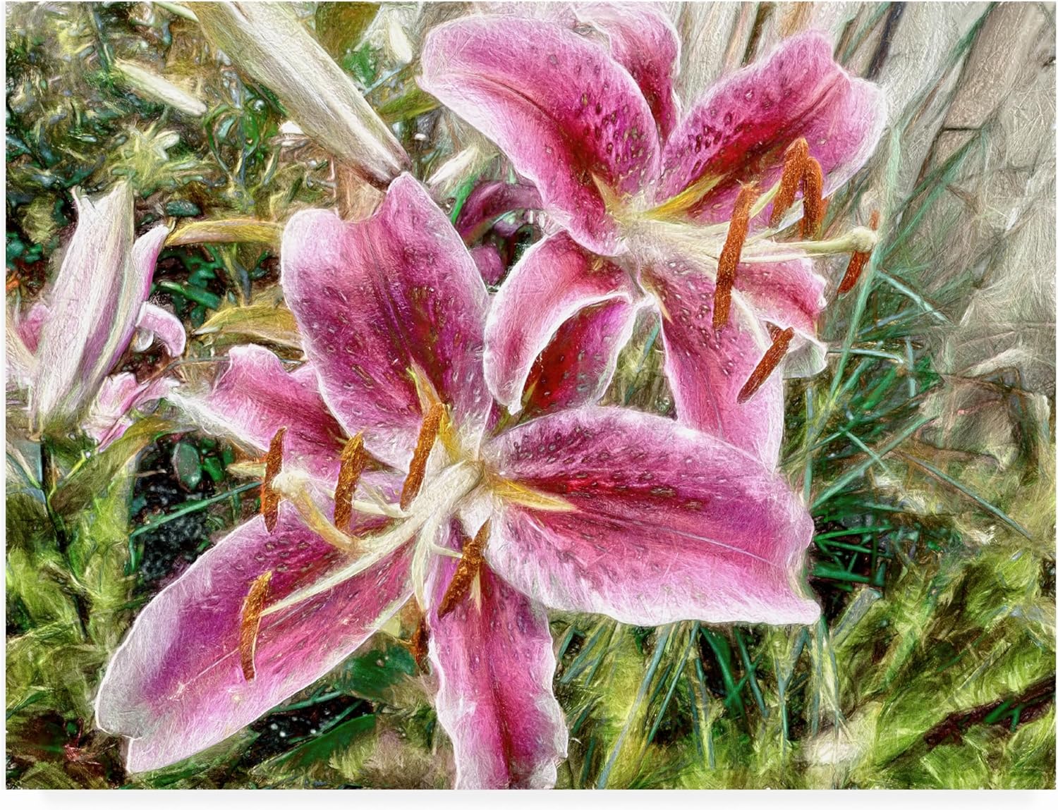 Trademark Fine Art Outdoor Canvas Art - Leslie Montgomery 'Star Gazer' Wall Art for Outdoor Spaces, Patios, or Gardens