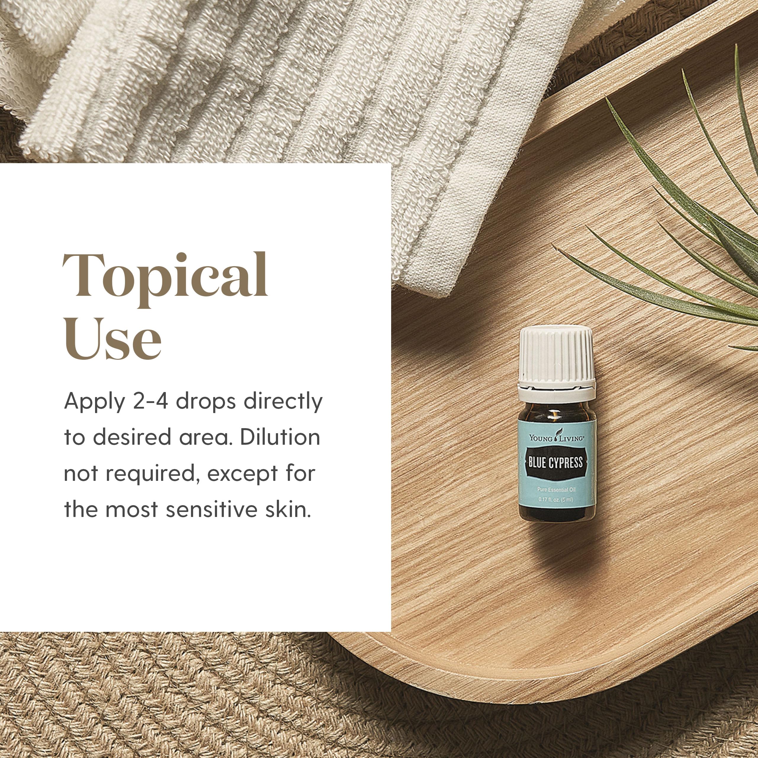Amazon.com: Young Living - Blue Cypress Essential Oil 5 ml