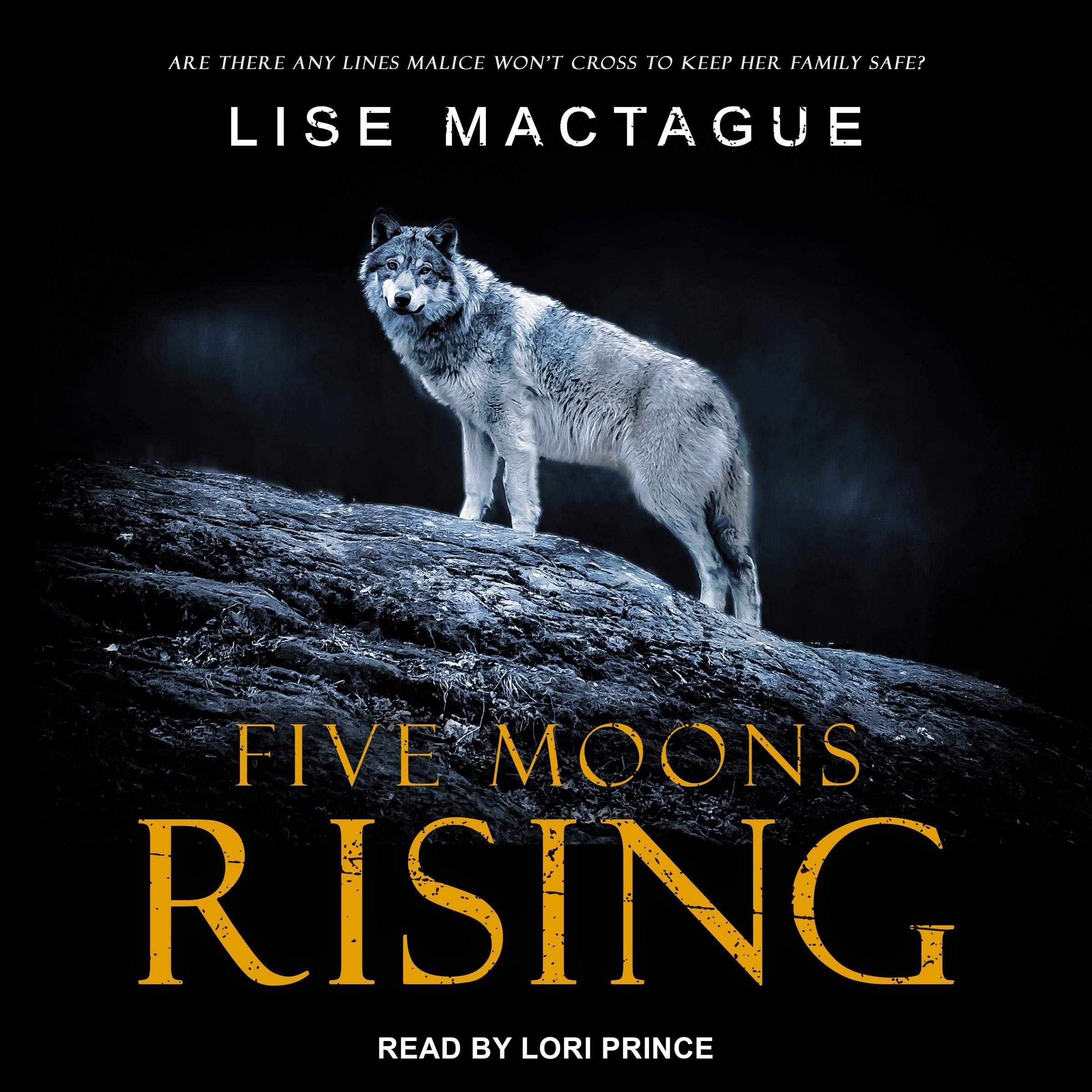 Cover art for Five Moons Rising