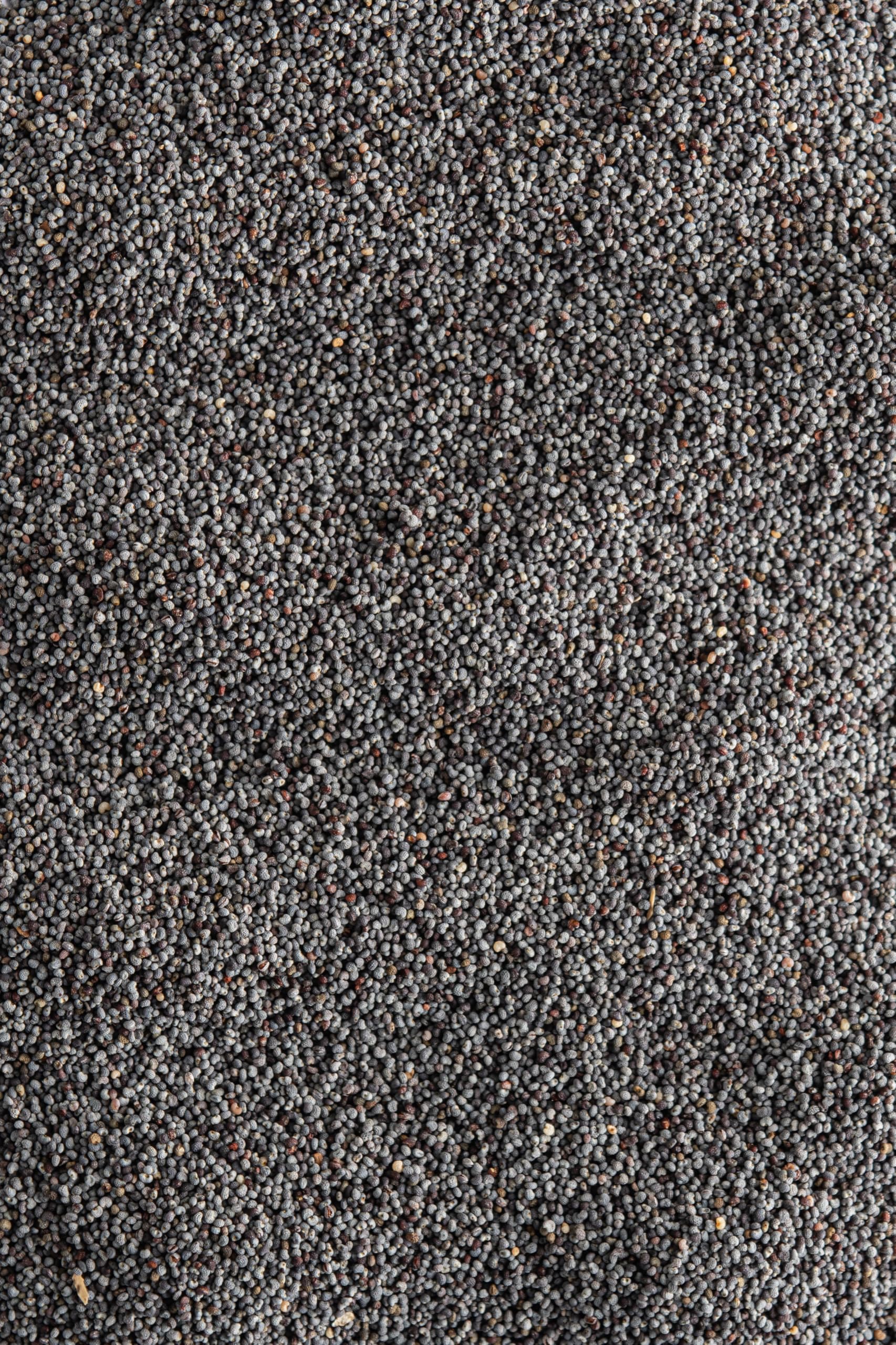 Biojoy Semillas de Amapola Azul Ecológicas (2 kg), crudas y enteras, sin aditivos