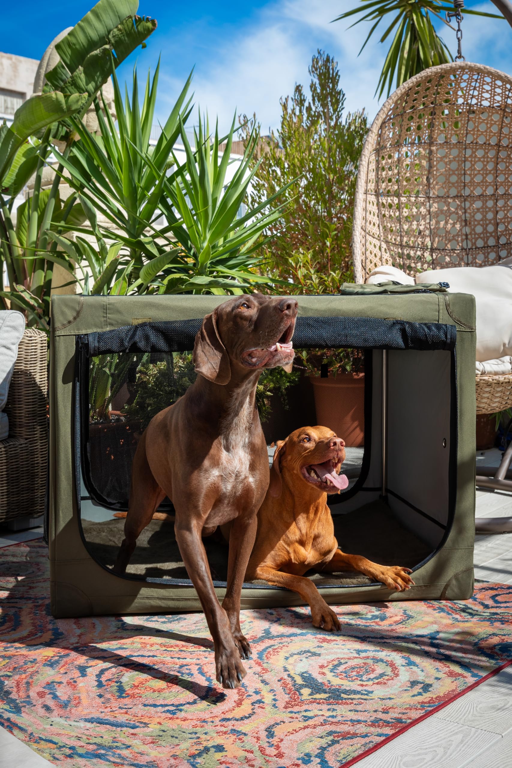 Noah & Paw Gabbia pieghevole per cani 36", gabbia XL per razze medie‑grandi, trasportino auto, tappetino incluso, 2 tasche, borsa, cerniere 10 mm 36x25x23
