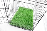 Ver la foto 5
