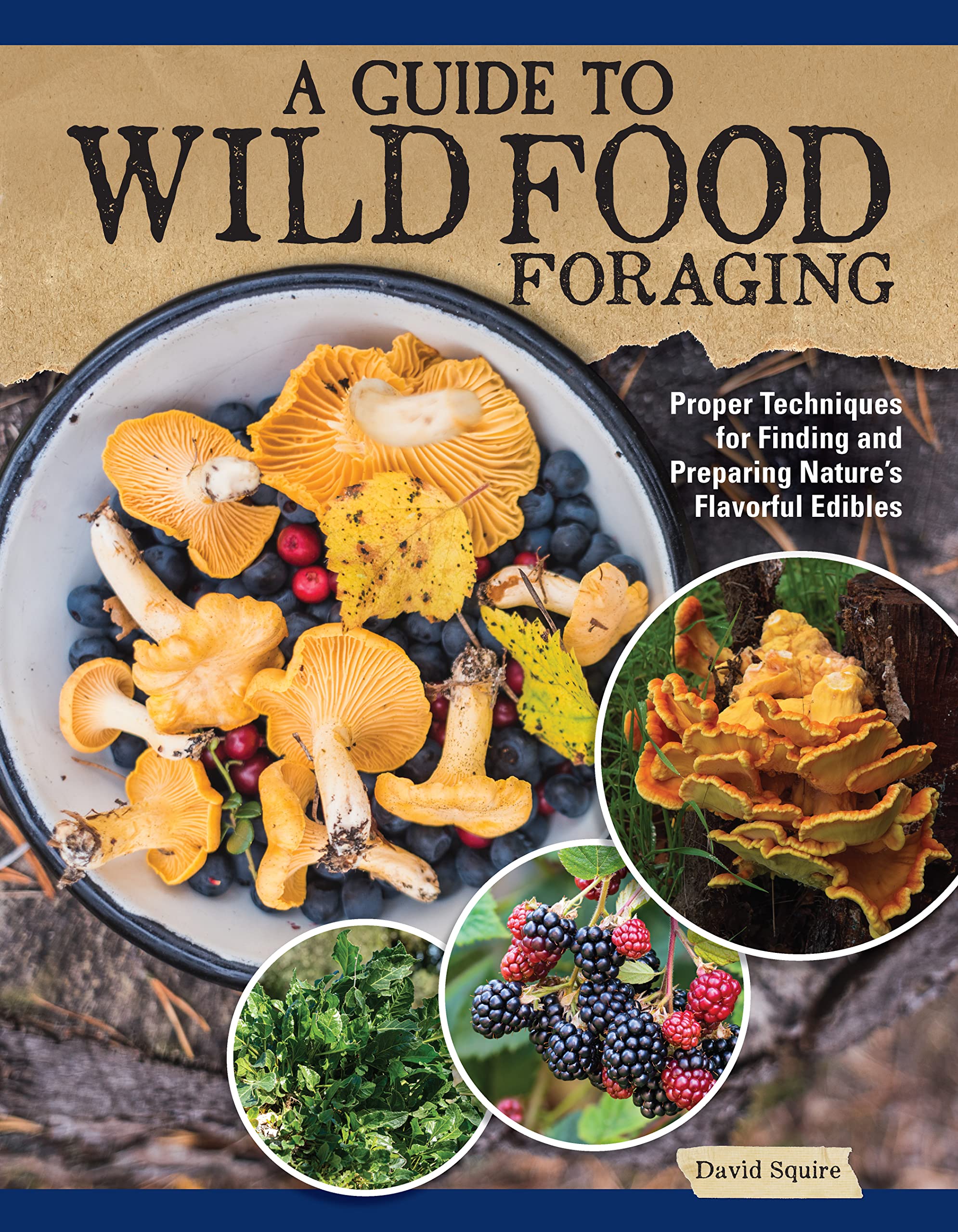 A Guide to Wild Food Foraging : Proper Techniques for Finding and Preparing Nature's Flavorful Edibles