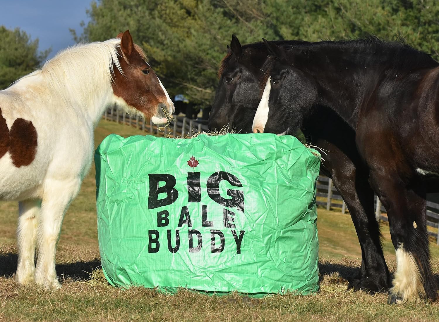Big Bale Buddy Large