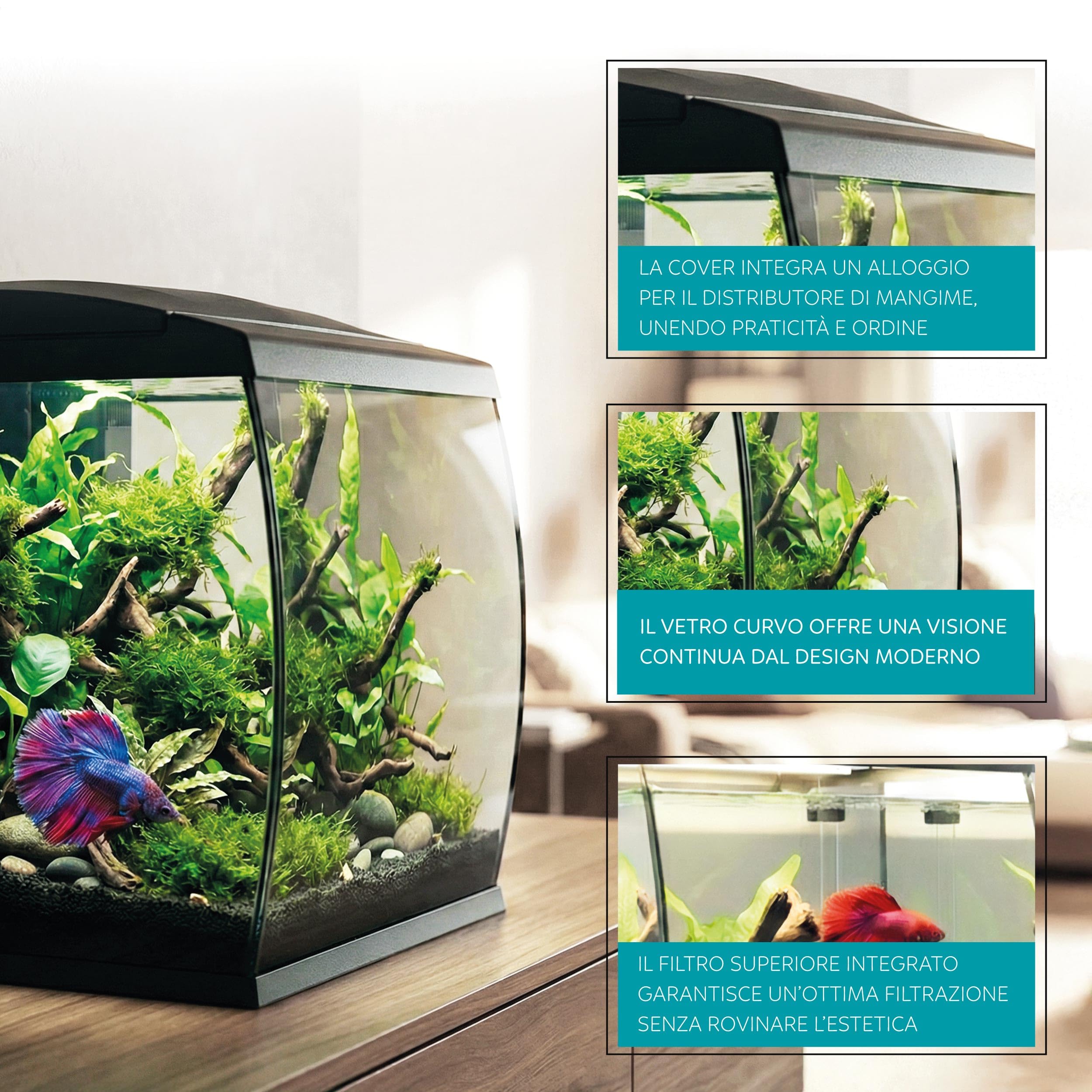 AQPET CurVe Acquario in Vetro Curvo 35L con Filtro Superiore Integrato e LED 6W – Acquario di Design da Scrivania con Pompa Inclusa e Coperchio per Distributore Automatico Mangime (Nero)