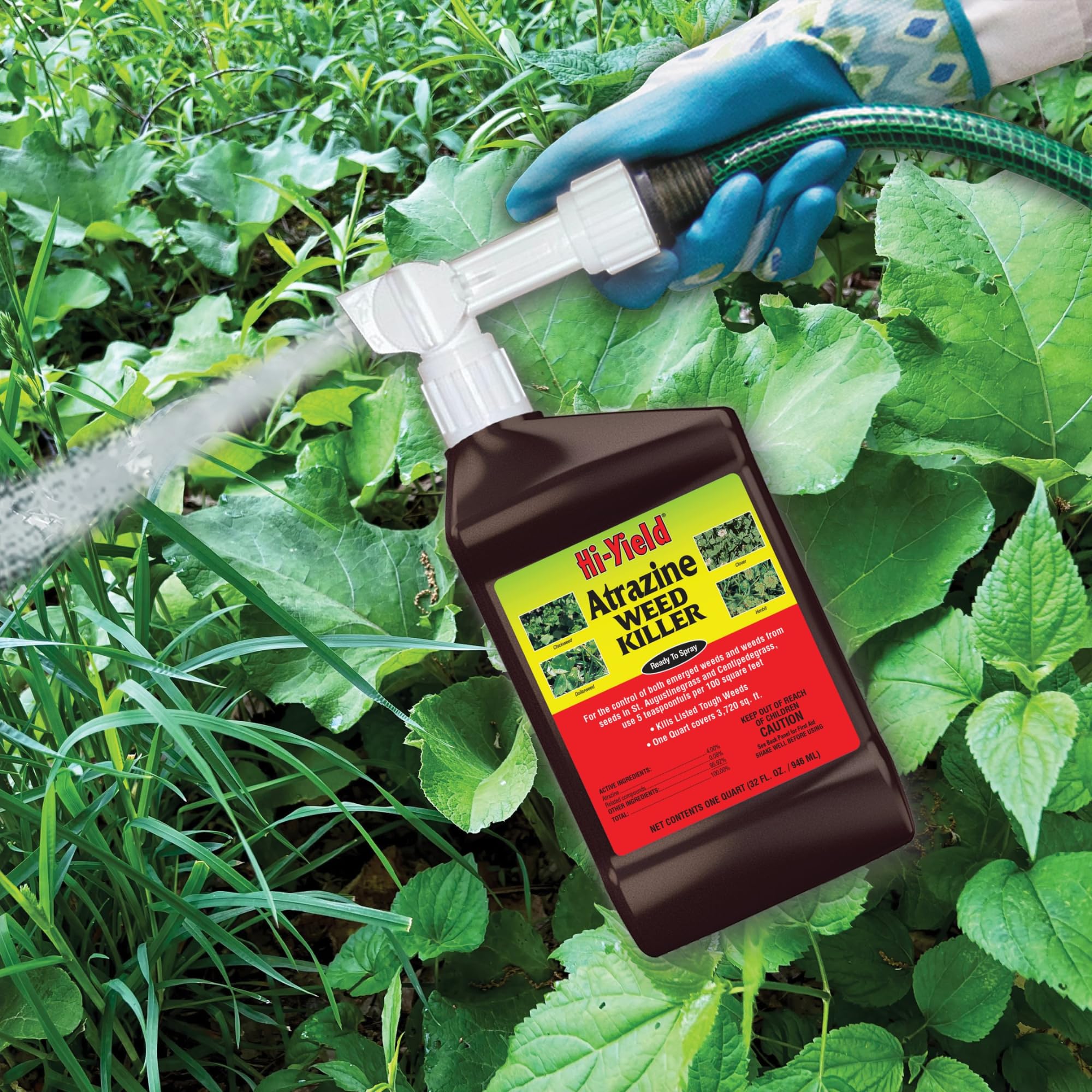 Amazon.com : Hi-Yield (33431) Atrazine Weed Killer RTS (32 oz
