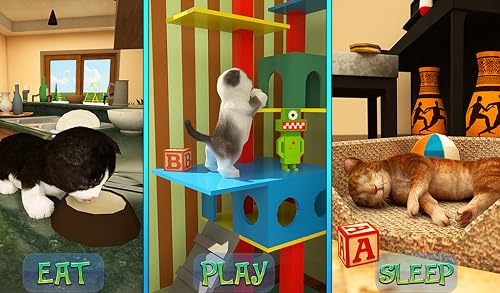 Cute Cat Adventure 2020