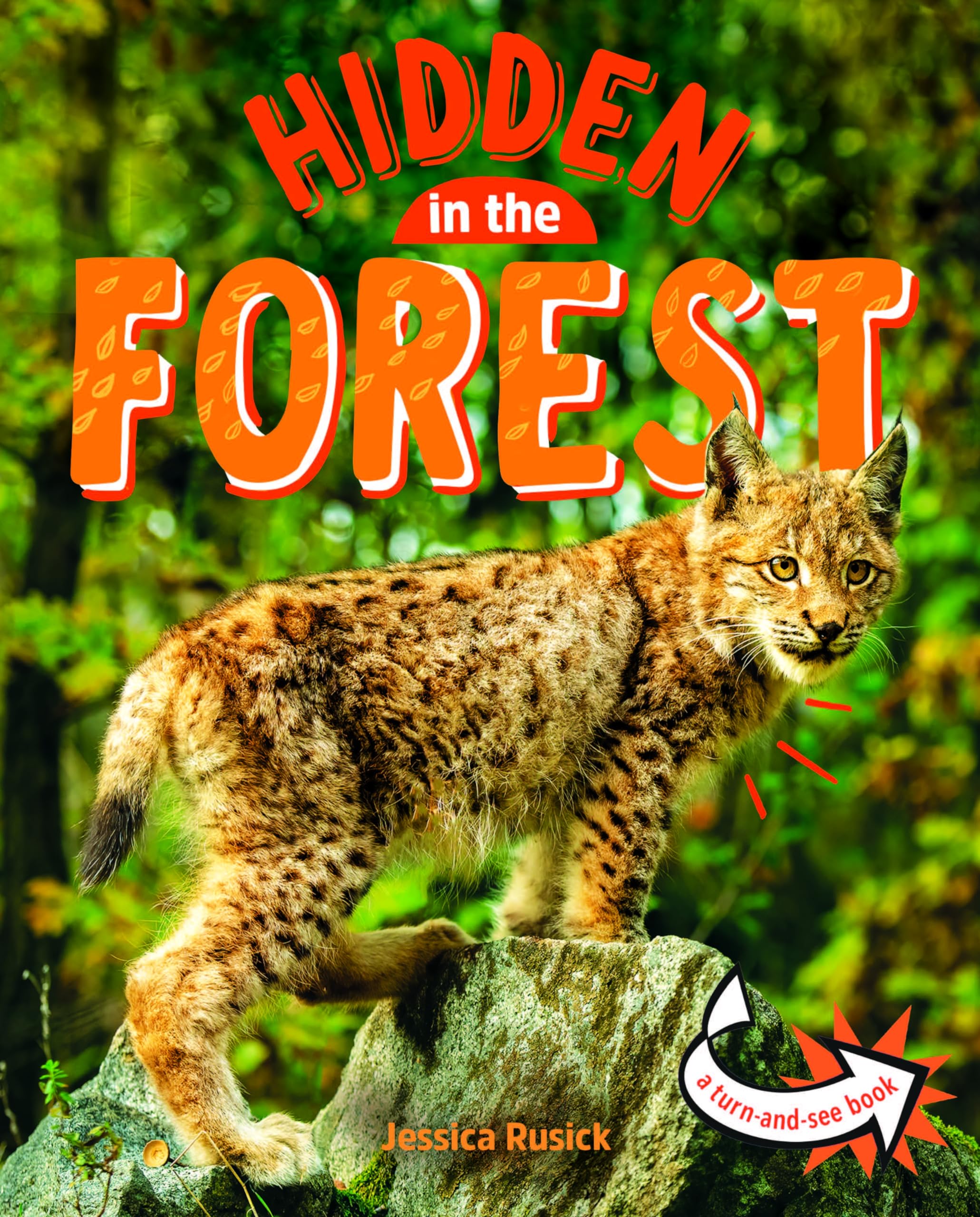 Animals Hidden in the Forest (Pebble Sprout)