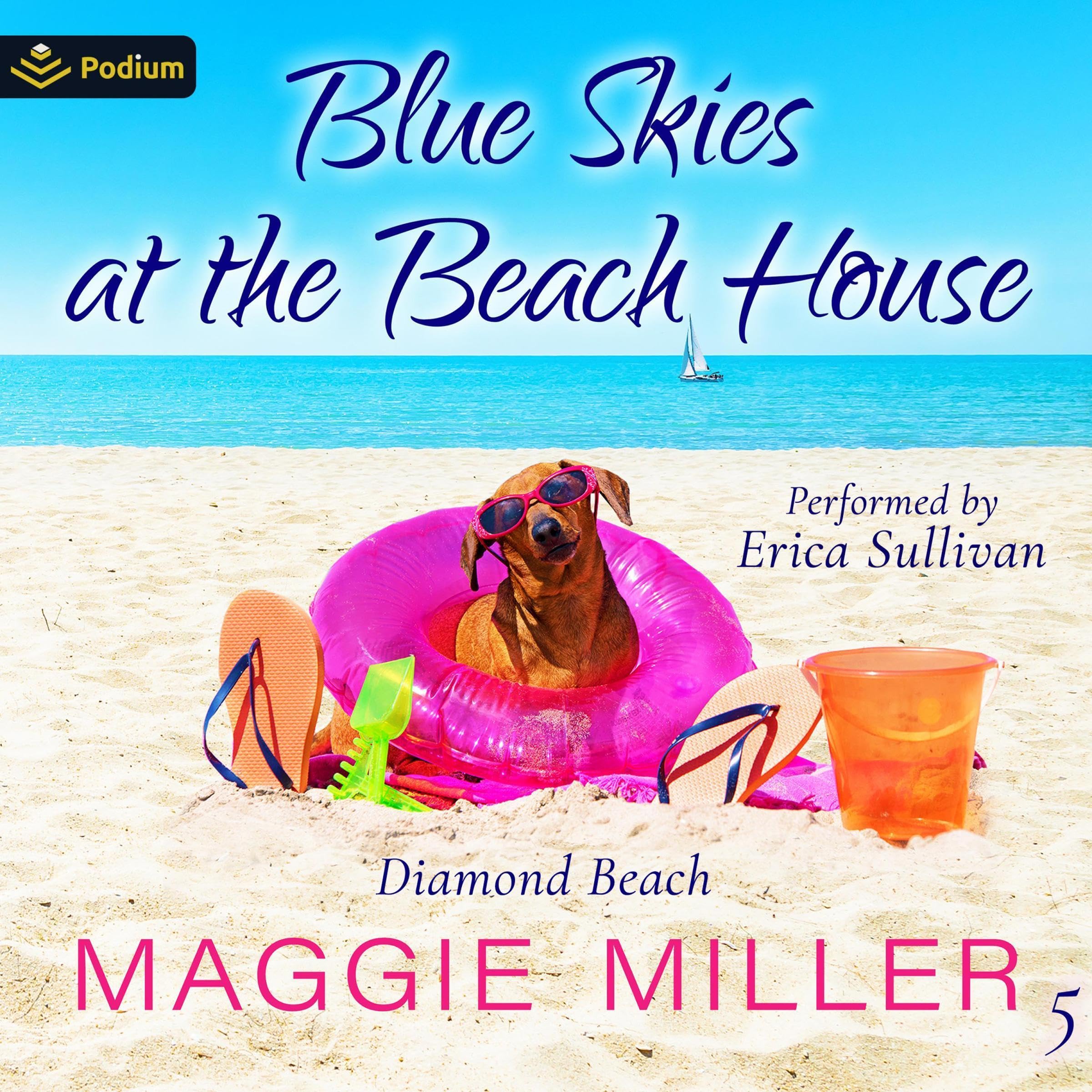 Cover art for Blue Skies at the Beach House