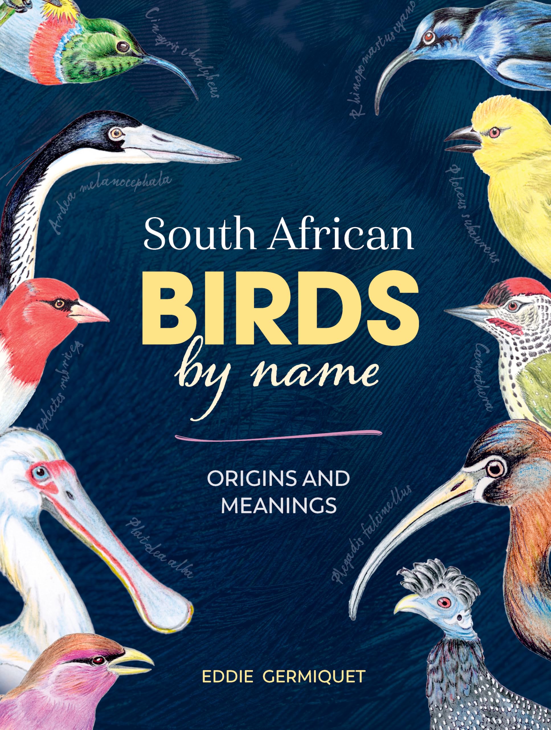 South African Birds by Name: Origins and Meanings