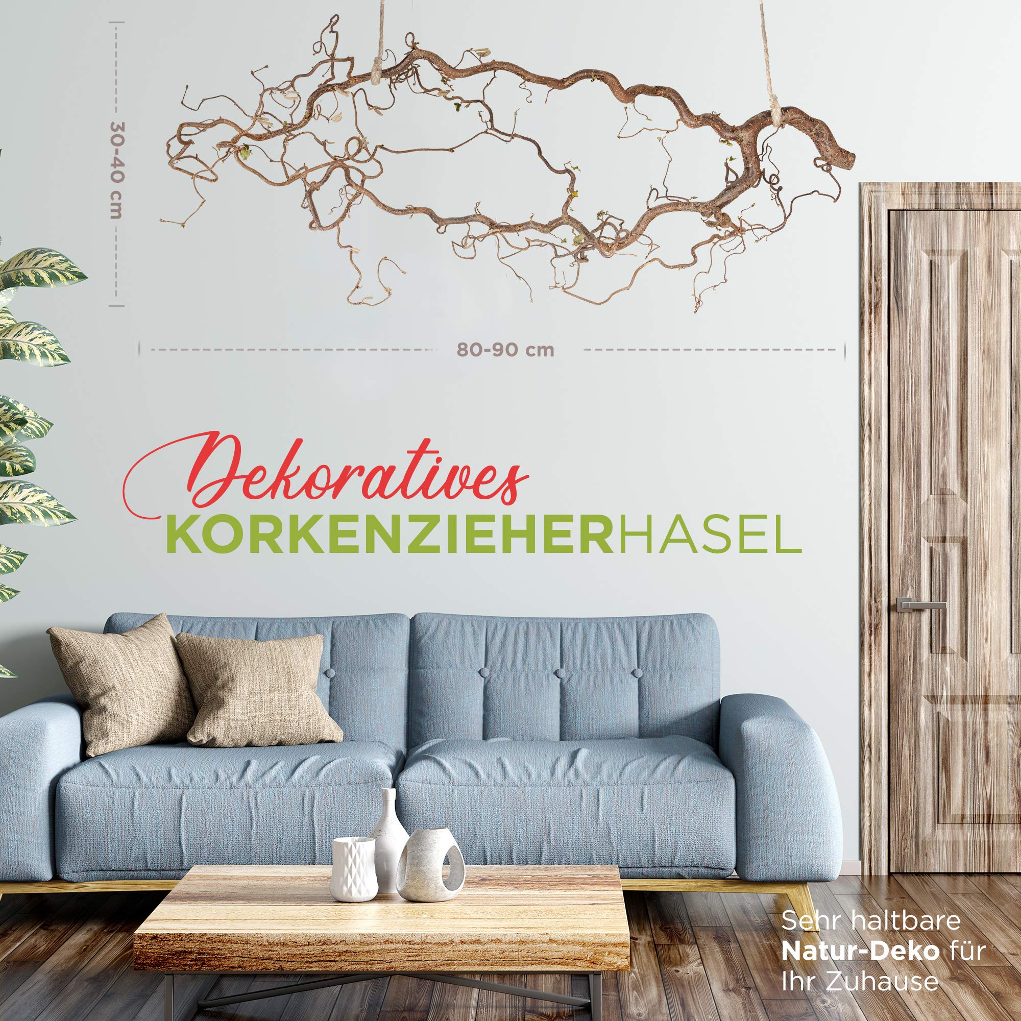 Echter, toll verschnörkelter Deko AST zum Aufhängen aus Korkenzieherhasel | Dekozweige für Bodenvase ca. 80cm - 90cm | Die Äste Werden von Uns selbst geerntet, Absolute Premiumqualität
