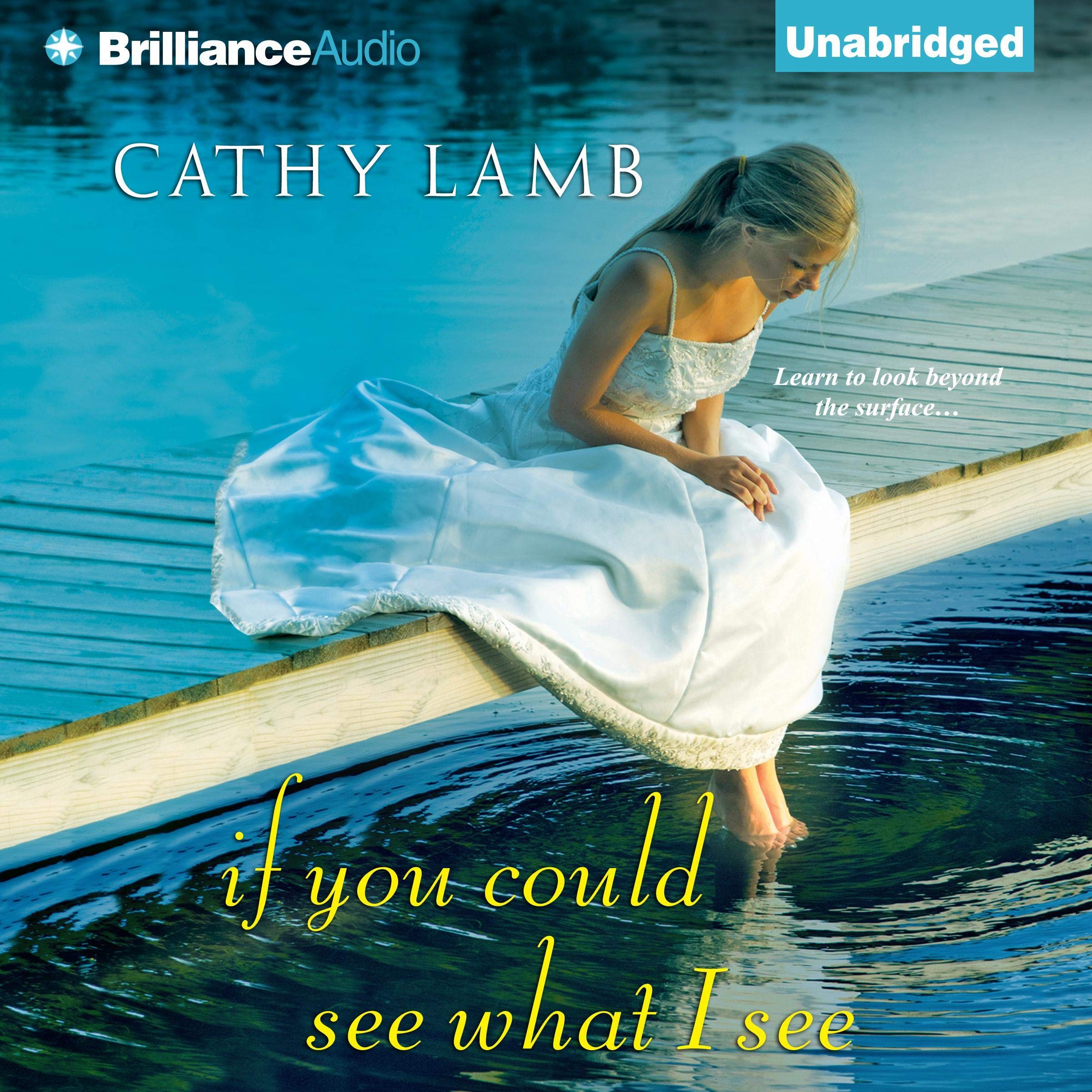 Cover art for If You Could See What I See