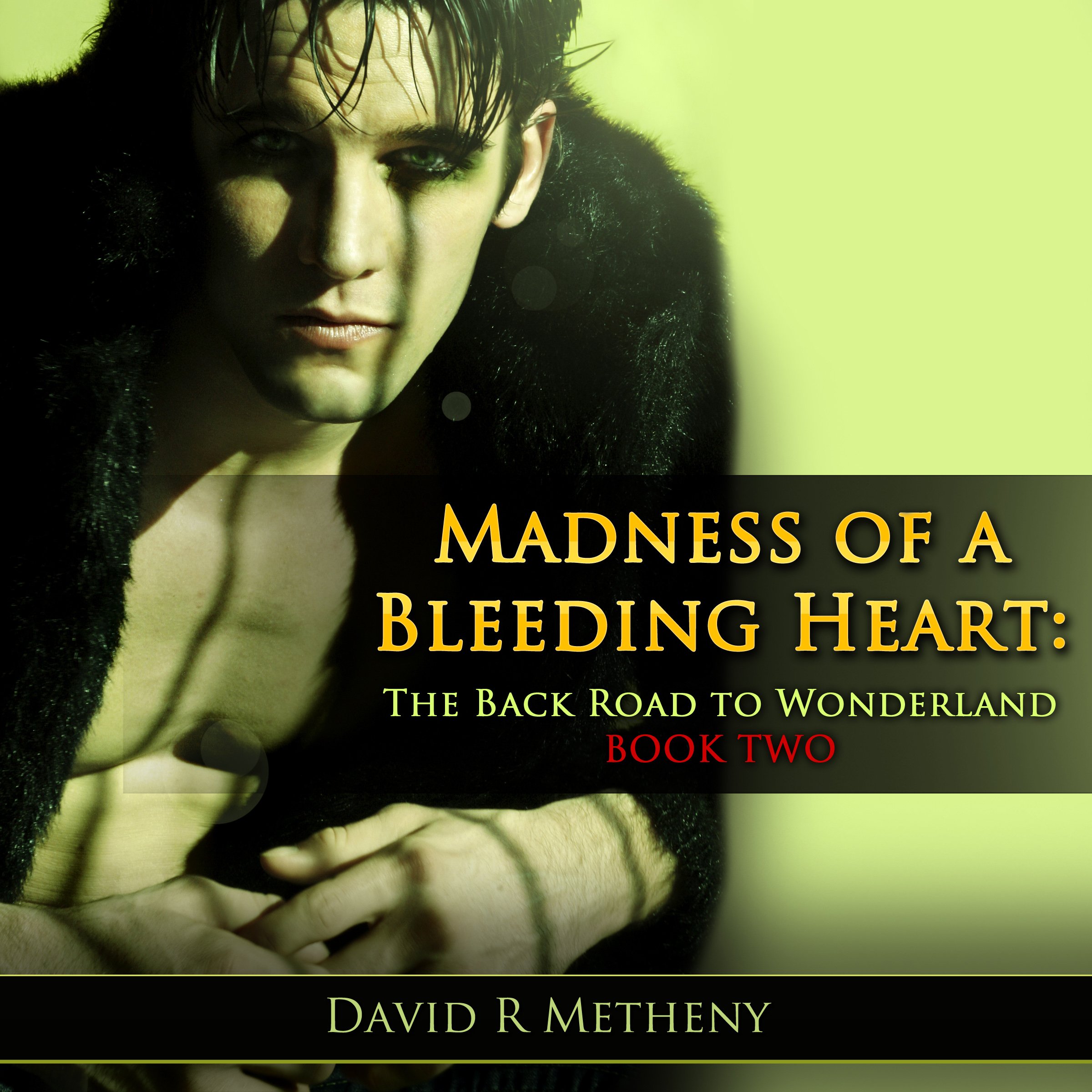 Cover art for Madness of a Bleeding Heart