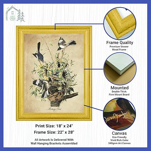 Vista 163 de Towee Bunting by James Audubon - Marco biselado negro de 12 x 16 pulgadas, decoración artística enmarcada para pared, reproducción de pinturas