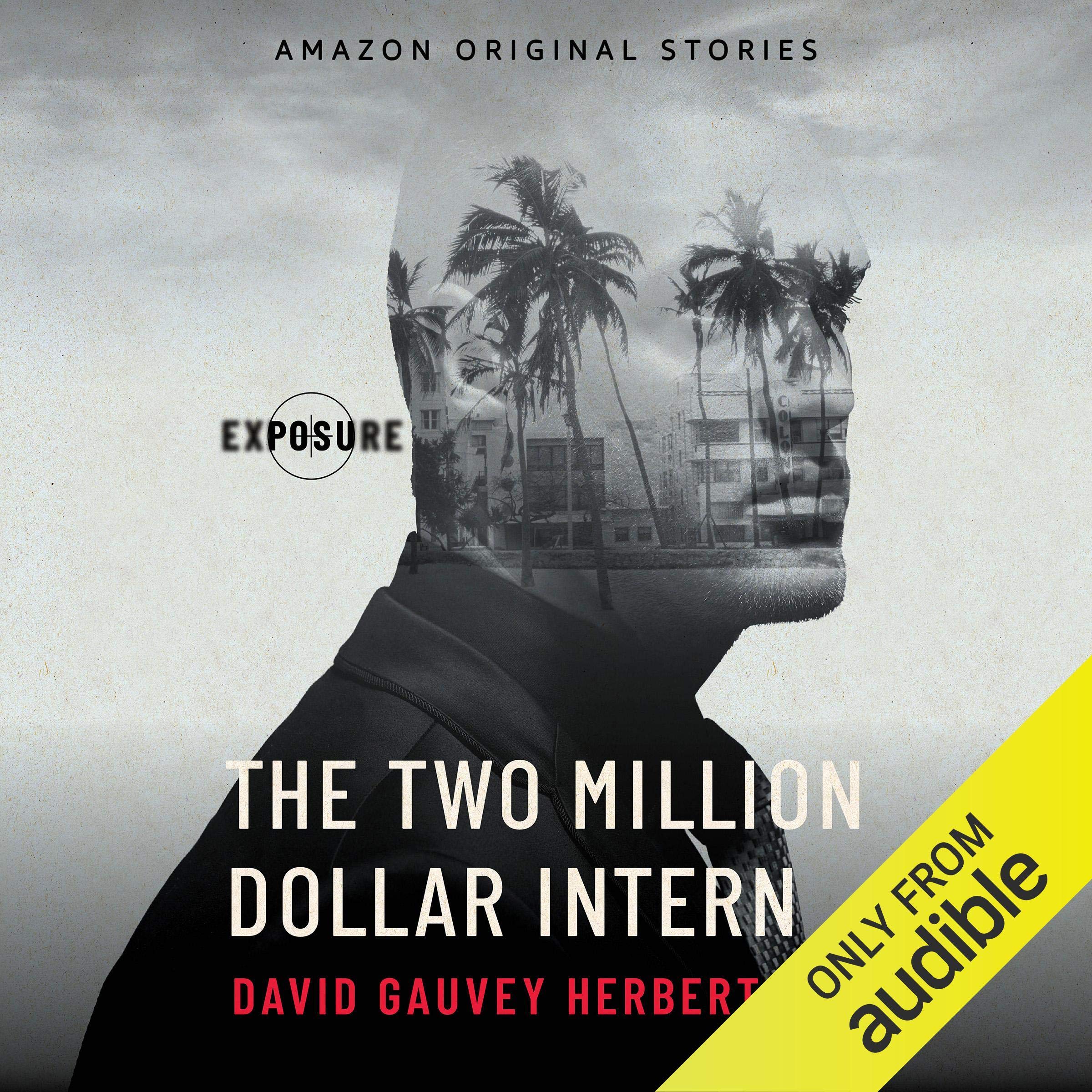Cover art for The Two Million Dollar Intern