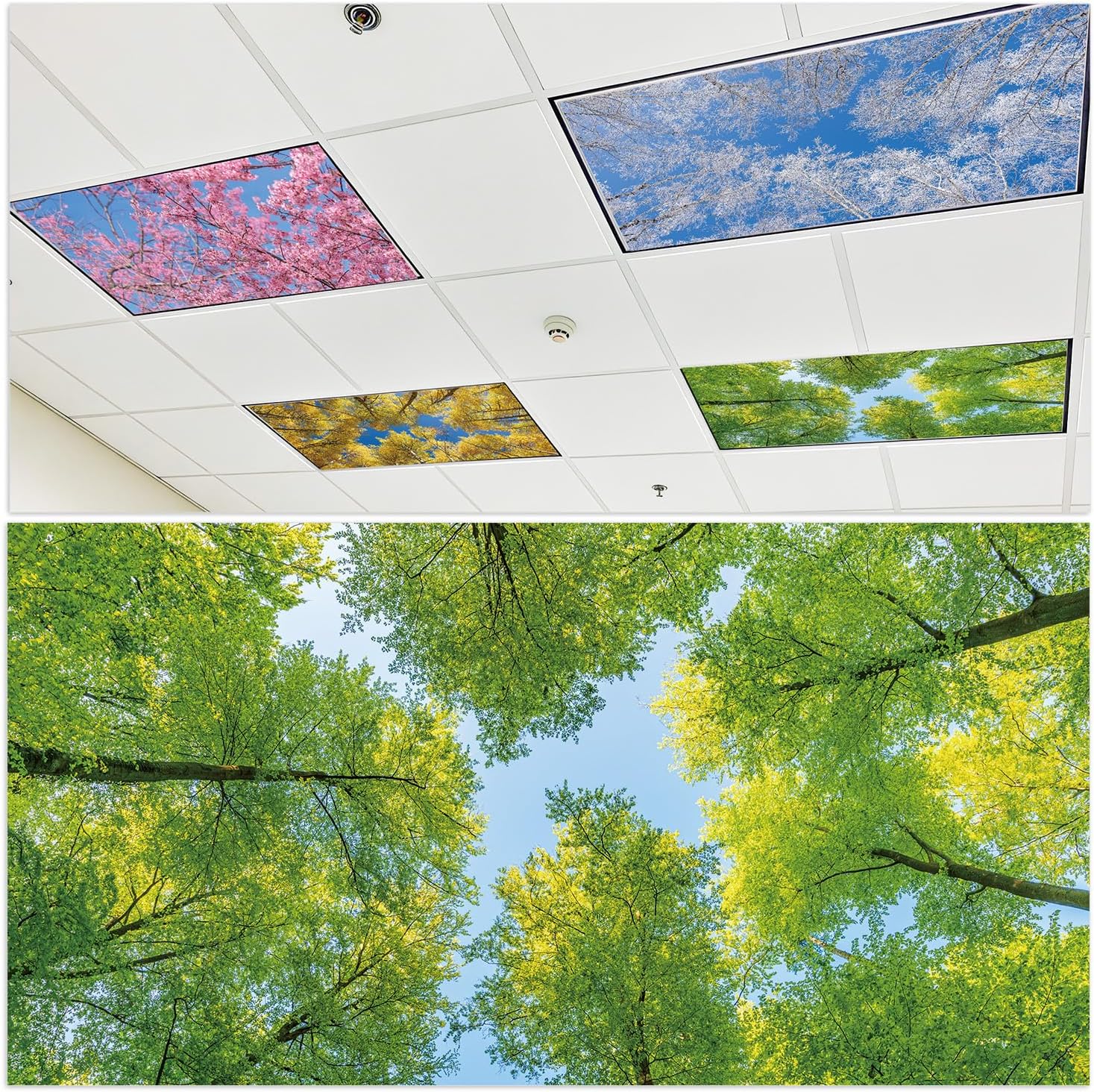 Light Covers for Ceiling Lights Classroom, 8PCS Inspirational Magnetic Fluorescent Light Covers for Ceiling, Boho Overhead Lamp Decor Supplies for Office Hospital Home(4 X 2 Ft)