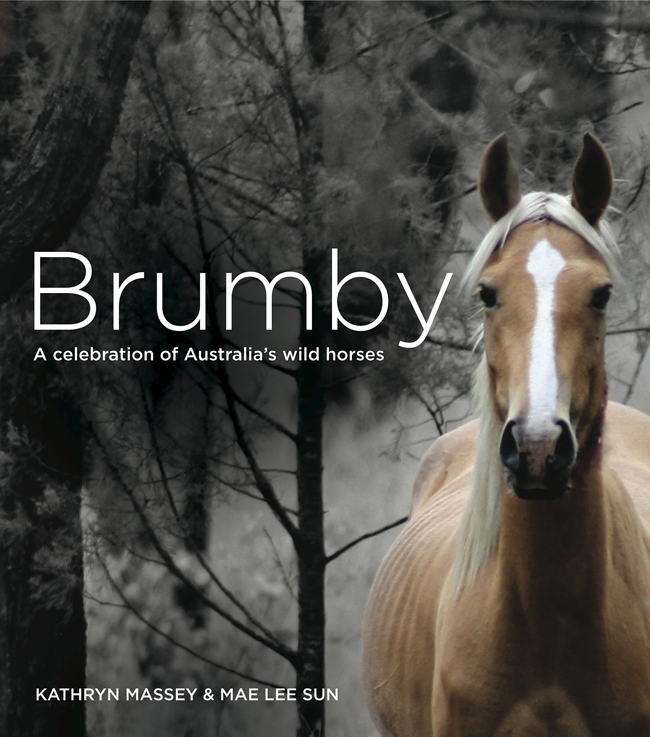 Buy Brumby: A Celebration of Australia's Wild Horses — BookShops.in