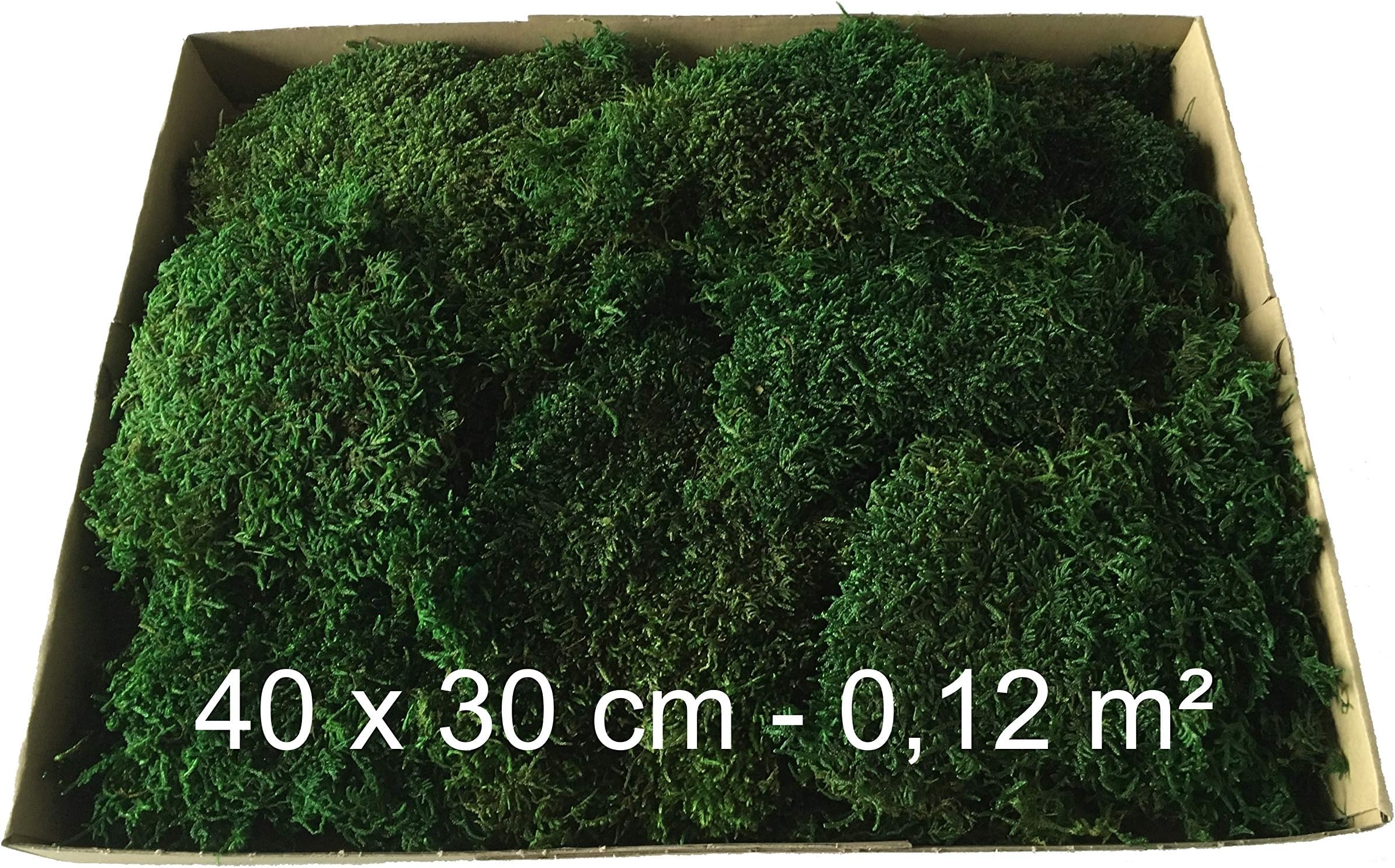 Decorative moss, moss fields, preserved moss, 1-layer flat moss, durable, for decoration, floristry or home decoration