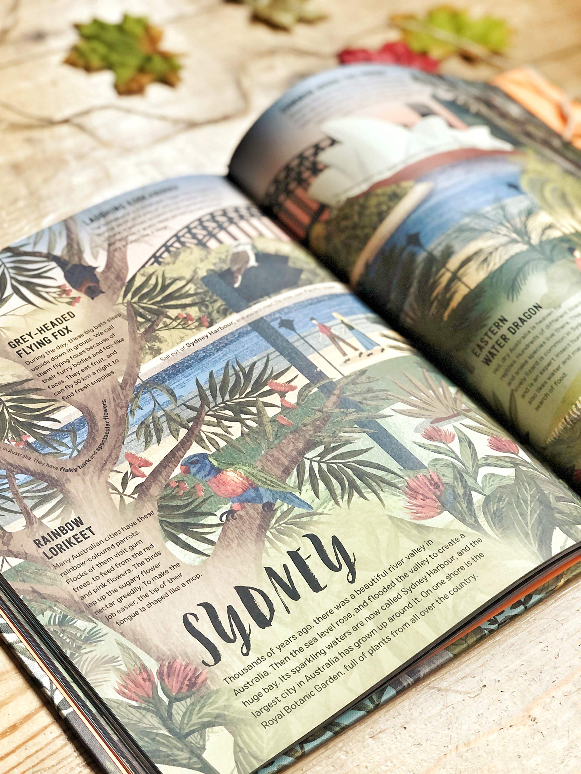 Wild City: Meet the animals who share our city spaces - Image 7