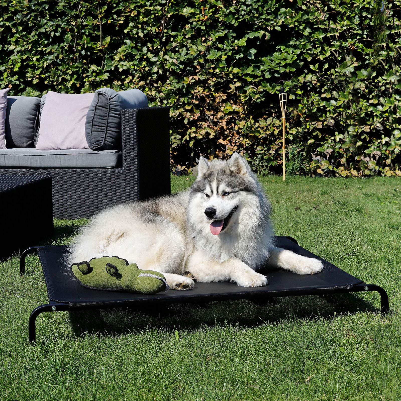 lionto Lettino rialzato per Cani Ideale per Giardino e Outdoor, (L) 114x76 cm Nero