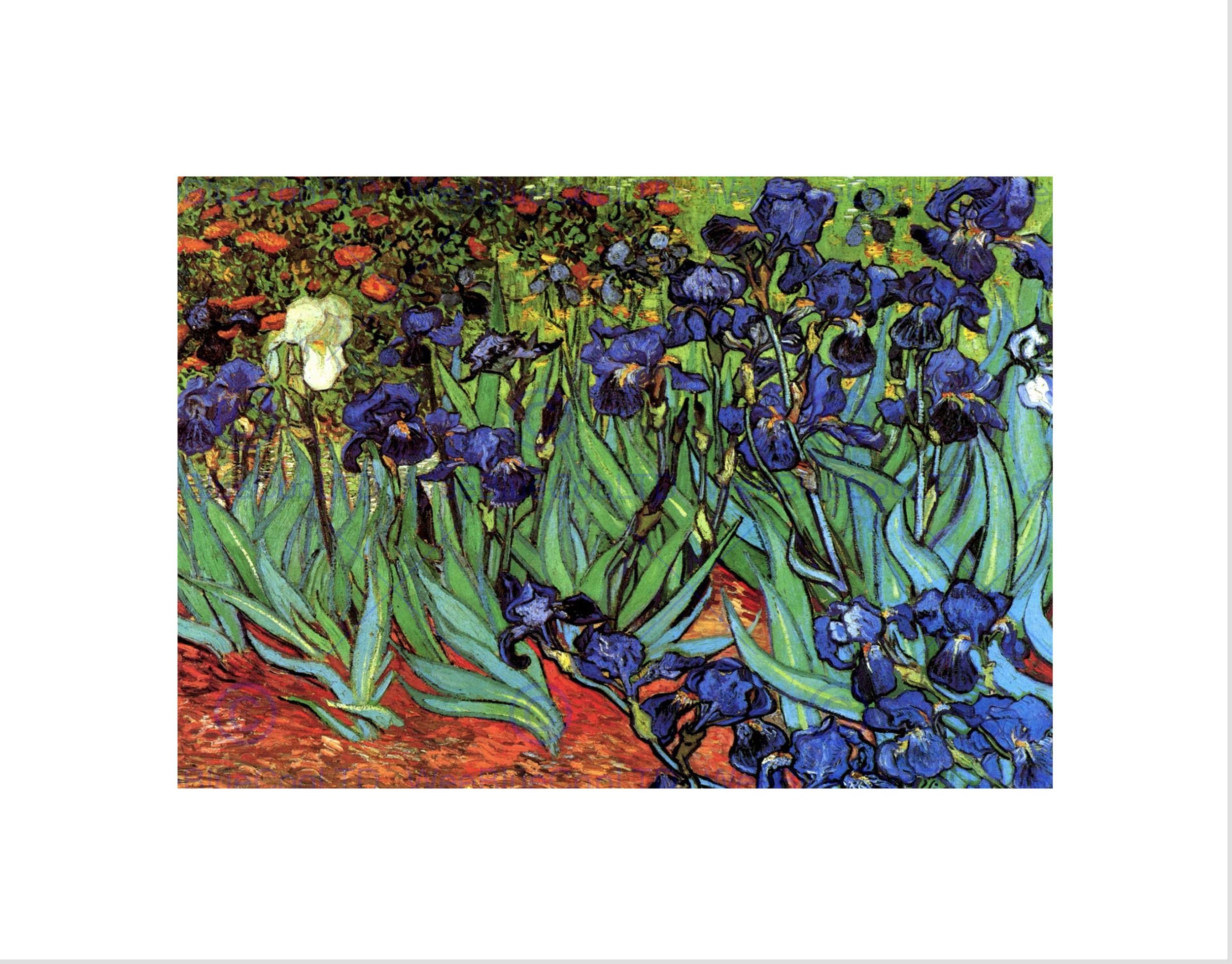 Wee Blue Coo Van Gogh Irises Old Master Picture Wall Art Print