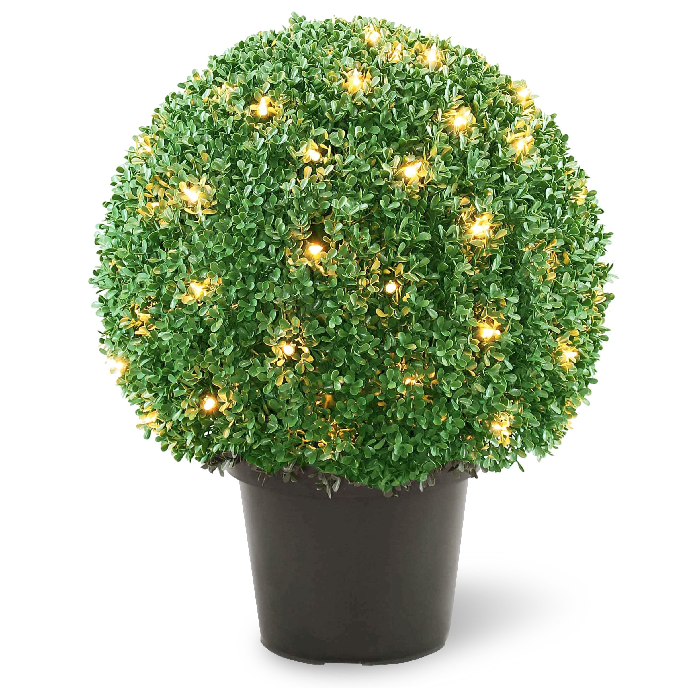 Artificial Lighting For Plants Decor For You