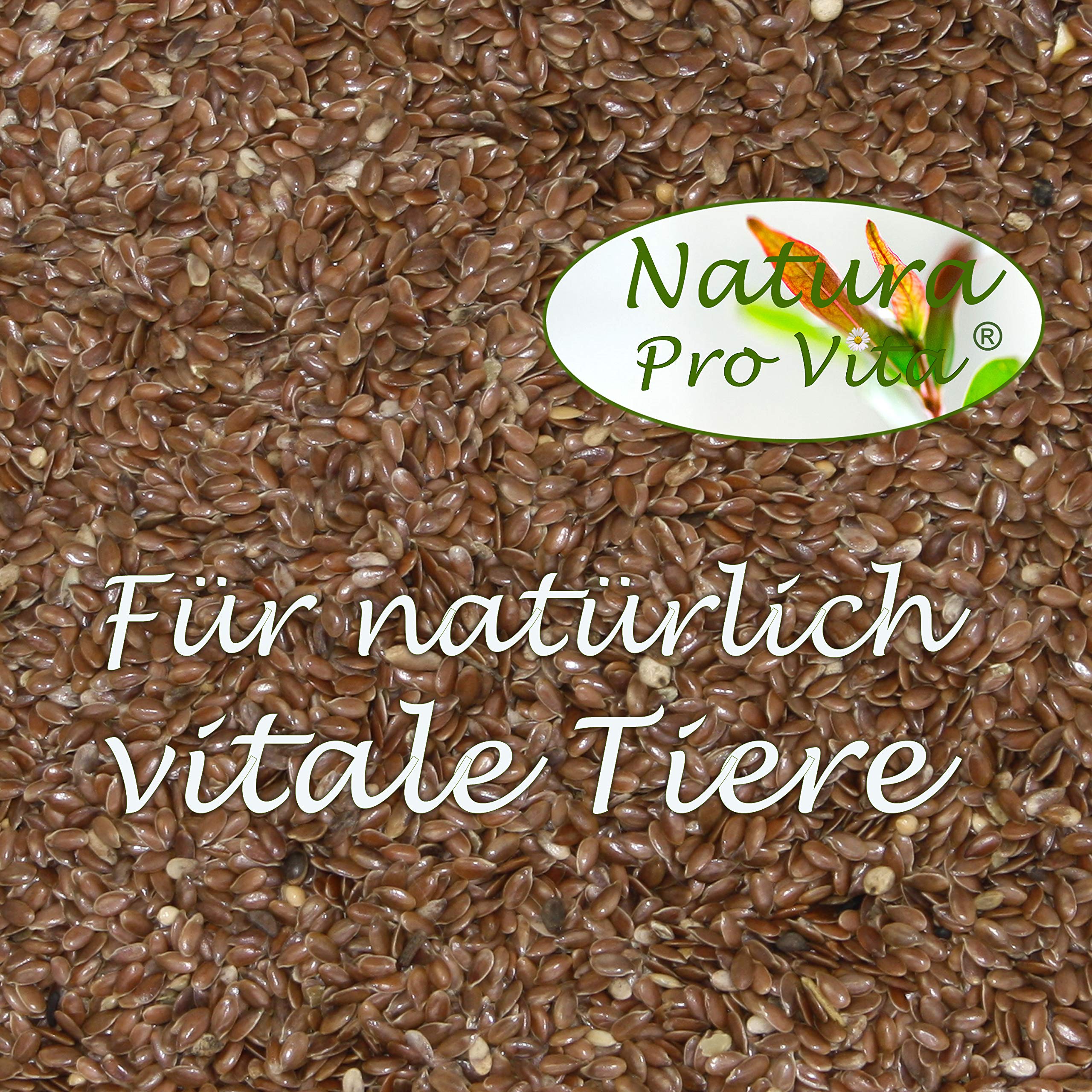 Leinsamen Nager Kaninchen ganze braune Leinsaat Omega-3 Fettsäuren Leinöl Magen Darm Verdauung gesunder energiereicher Nagersnack 20kg