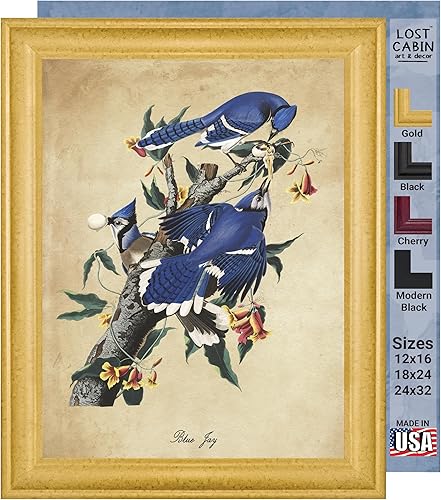 Vista 144 de Towee Bunting by James Audubon - Marco biselado negro de 12 x 16 pulgadas, decoración artística enmarcada para pared, reproducción de pinturas