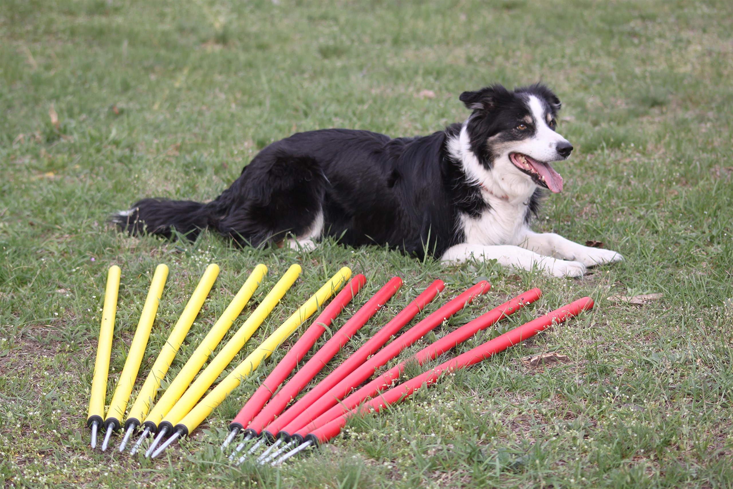 Fun Agility Agility-Übungs-Slalom-Set Rot/Gelb Flexible, Runde Stangen für Hunde