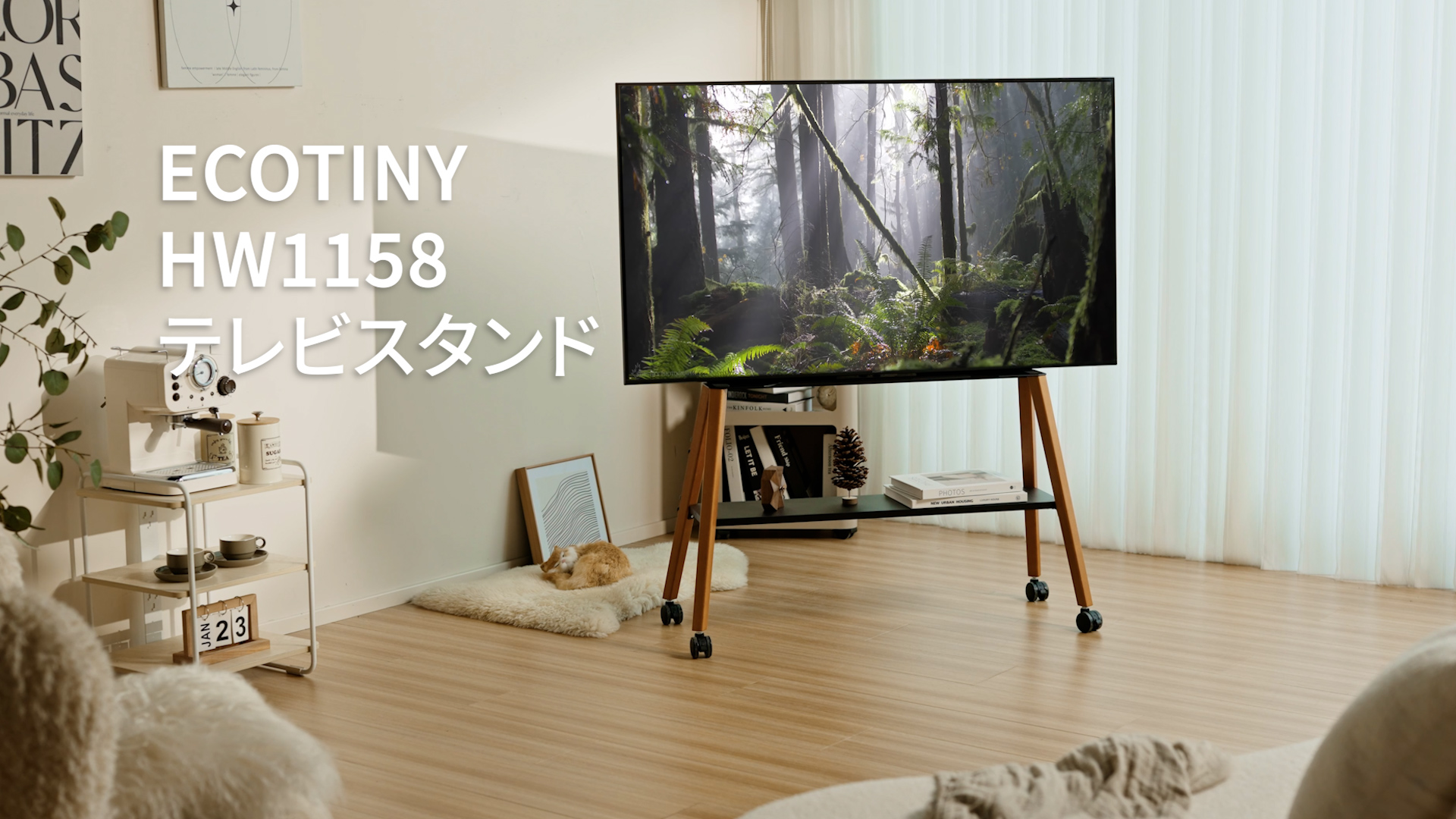 新品未使用 テレビスタンド 49~75インチ対応 FSC認証天然木 白 ホワイト Amazon.co.jp: ECOTINY テレビスタンド 49~75インチ対応 FSC認証天然木