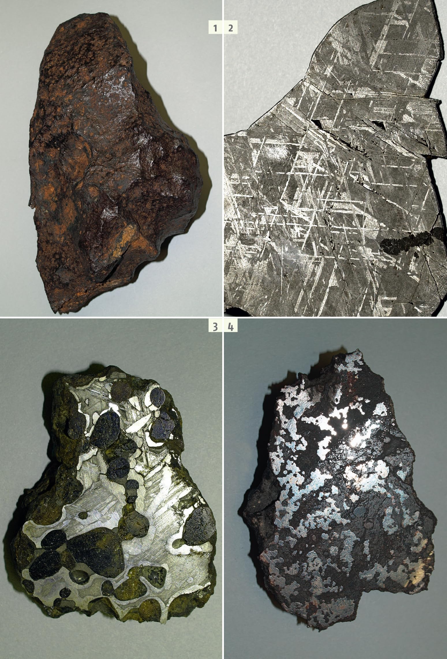 Guida ai minerali. 700 minerali, gemme e rocce