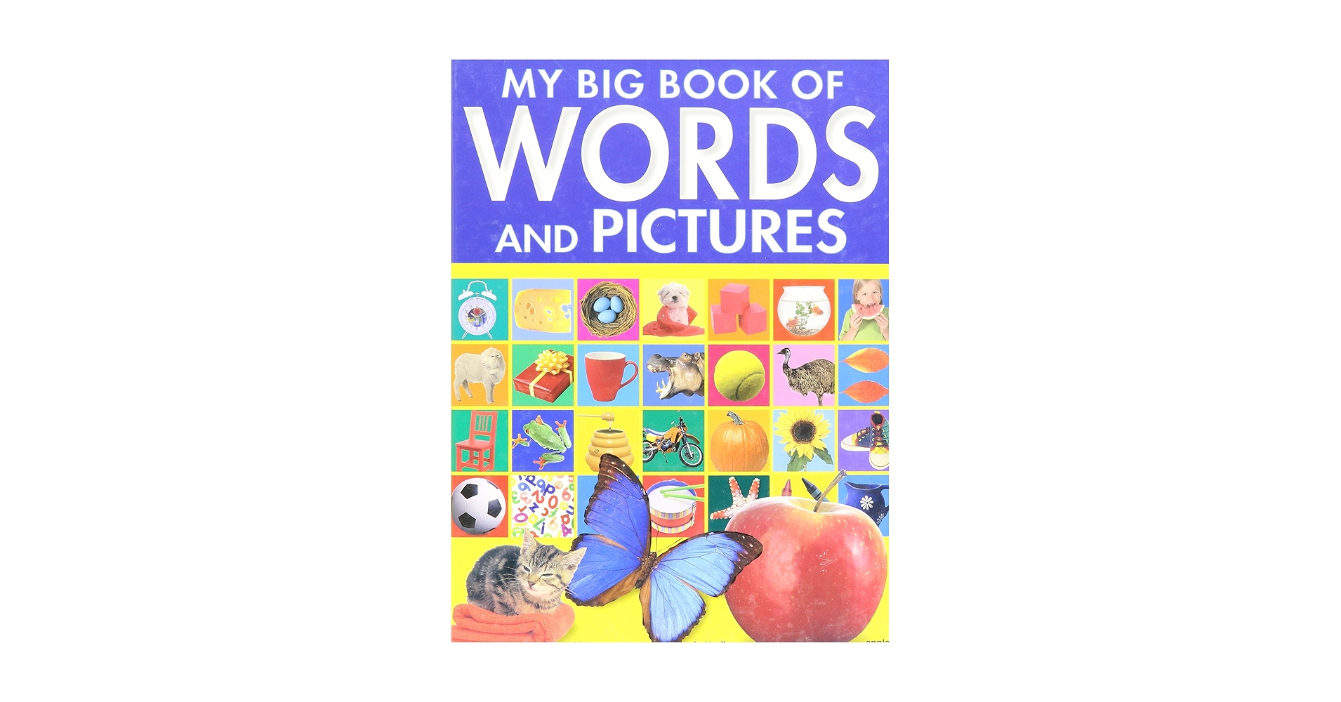 My Big Book of Words and Pictures: Julie Haydon