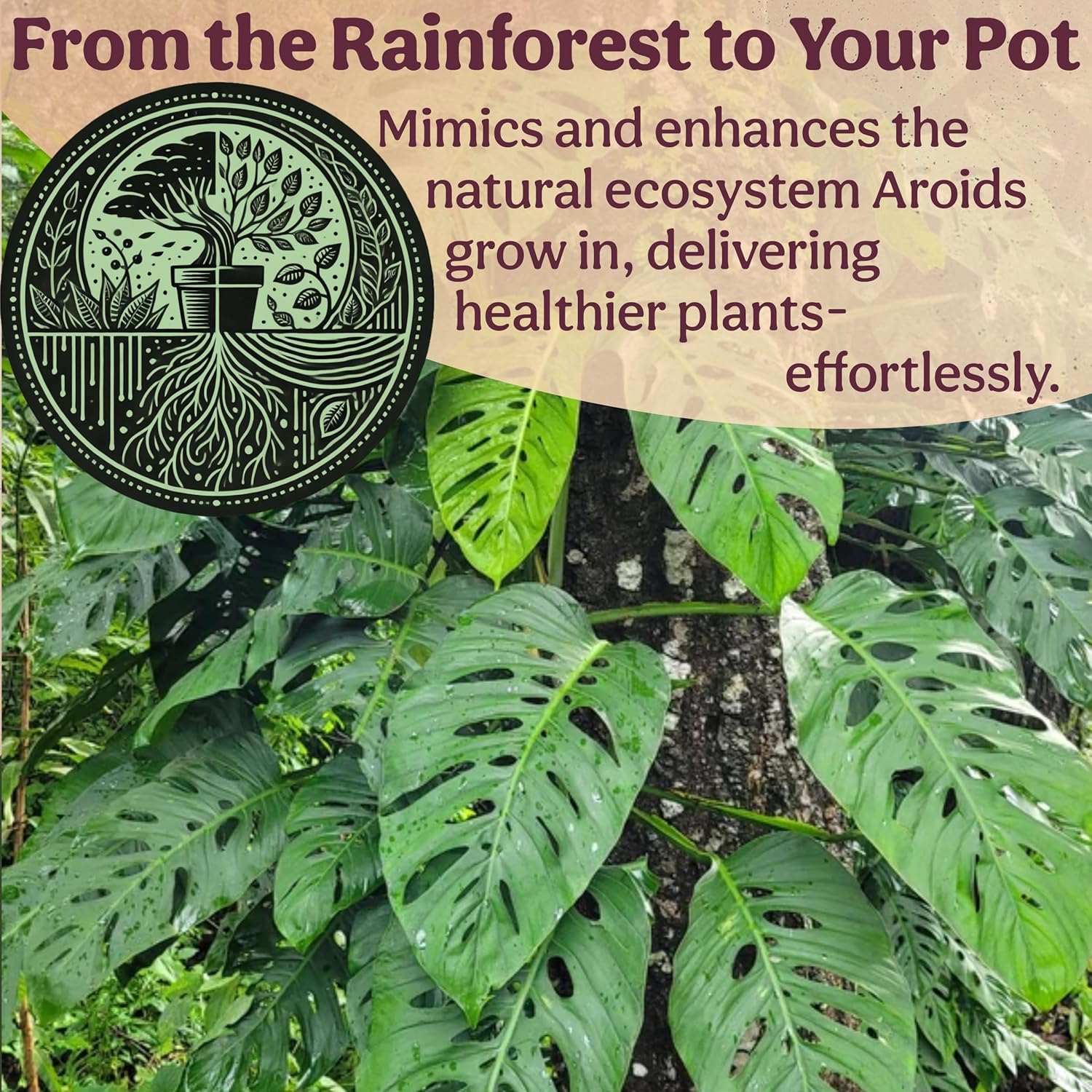 Craft Aroid Potting Mix- Elite Organic Alocasia, Philodendron, Monstera Soil Mix, Chunky, Well Draining Potting Soil for Indoor Plants, All Tropical Plants & Houseplants, Perlite & Peat Free 2QT - Image 9