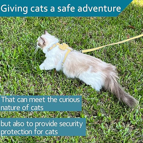 Miniatura 4 de Juego de arnés y correa para gatos para caminar al aire libre, arnés para gatos a prueba de escape, Ddzmz a prueba de escape, malla suave,