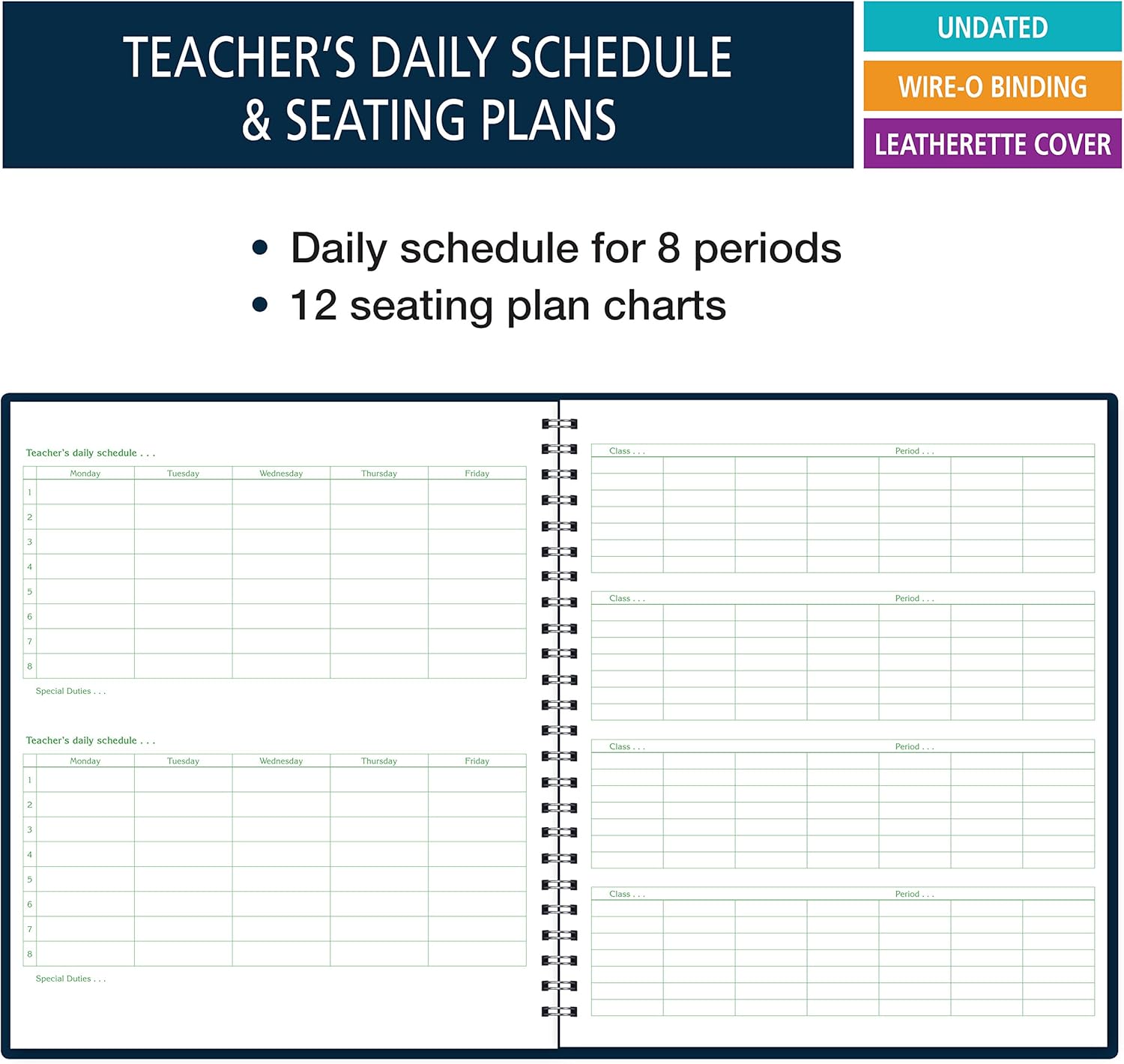 Extra Large (11"x13") Record Book for 6-10 Weeks; Extra-Large Squares (1/4") 42 Student Names (King Record) : Office Products