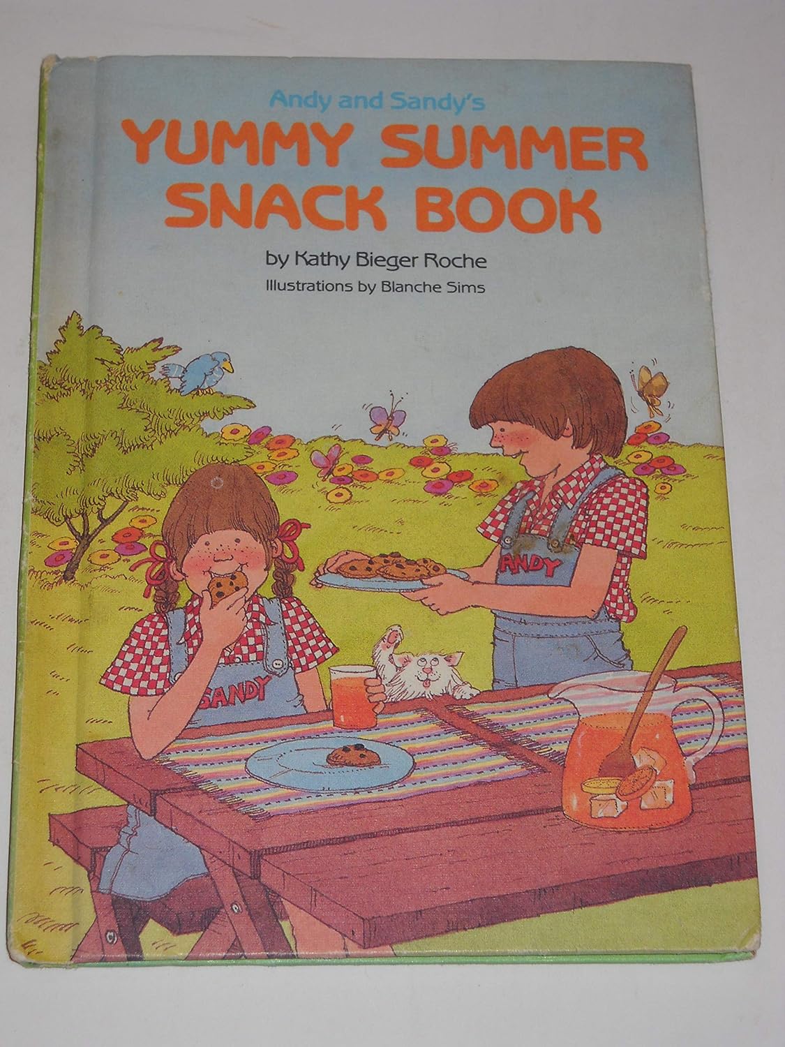 Andy and Sandy s Yummy Summer Snack Book: Vicki J. Roche: Amazon.com: Books