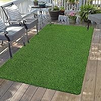 Bsmathom 3x5 Ft Artificial Grass Rug - Realistic Dog Pee Mat with Drainage Holes, Fake Turf for Indoor Outdoor Patio Balcony Garden