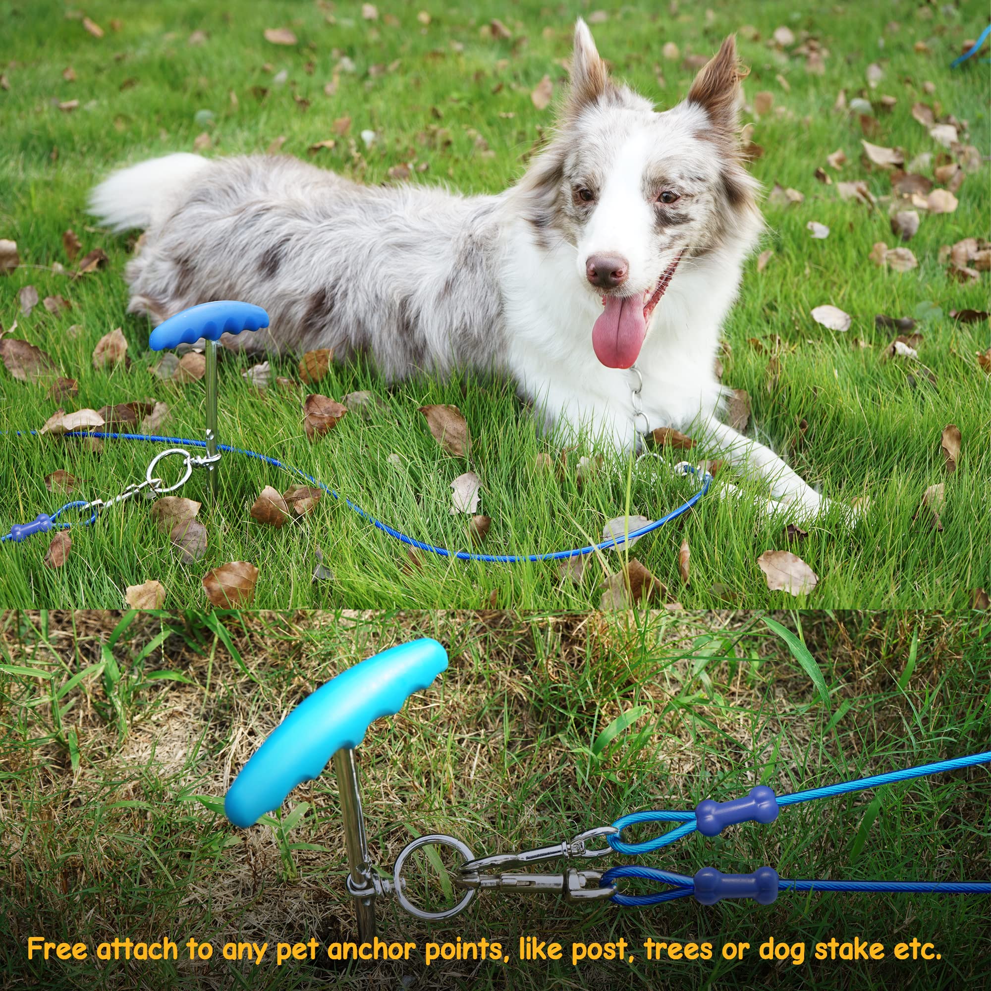 Petphabt - Cavo resistente per cani da 3 m, per cani di grandi dimensioni, giardino, giardino, parco animali domestici, cavo blu 56,7 kg