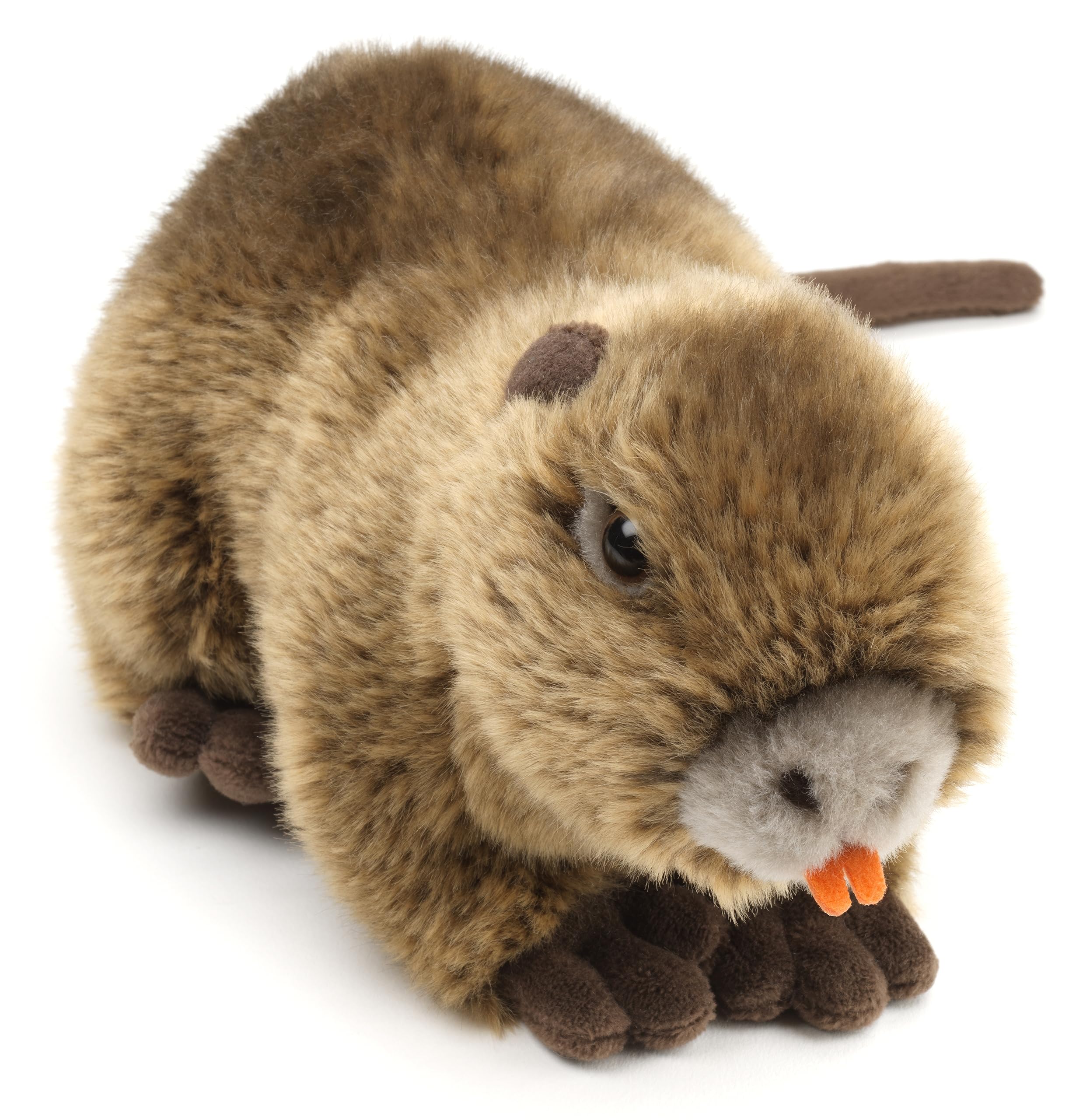 Uni-Toys - Nutria - 21 cm (Length) - Plush Rodent, Beaver Rat, Swamp Otter - Plush Toy, Cuddly Toy