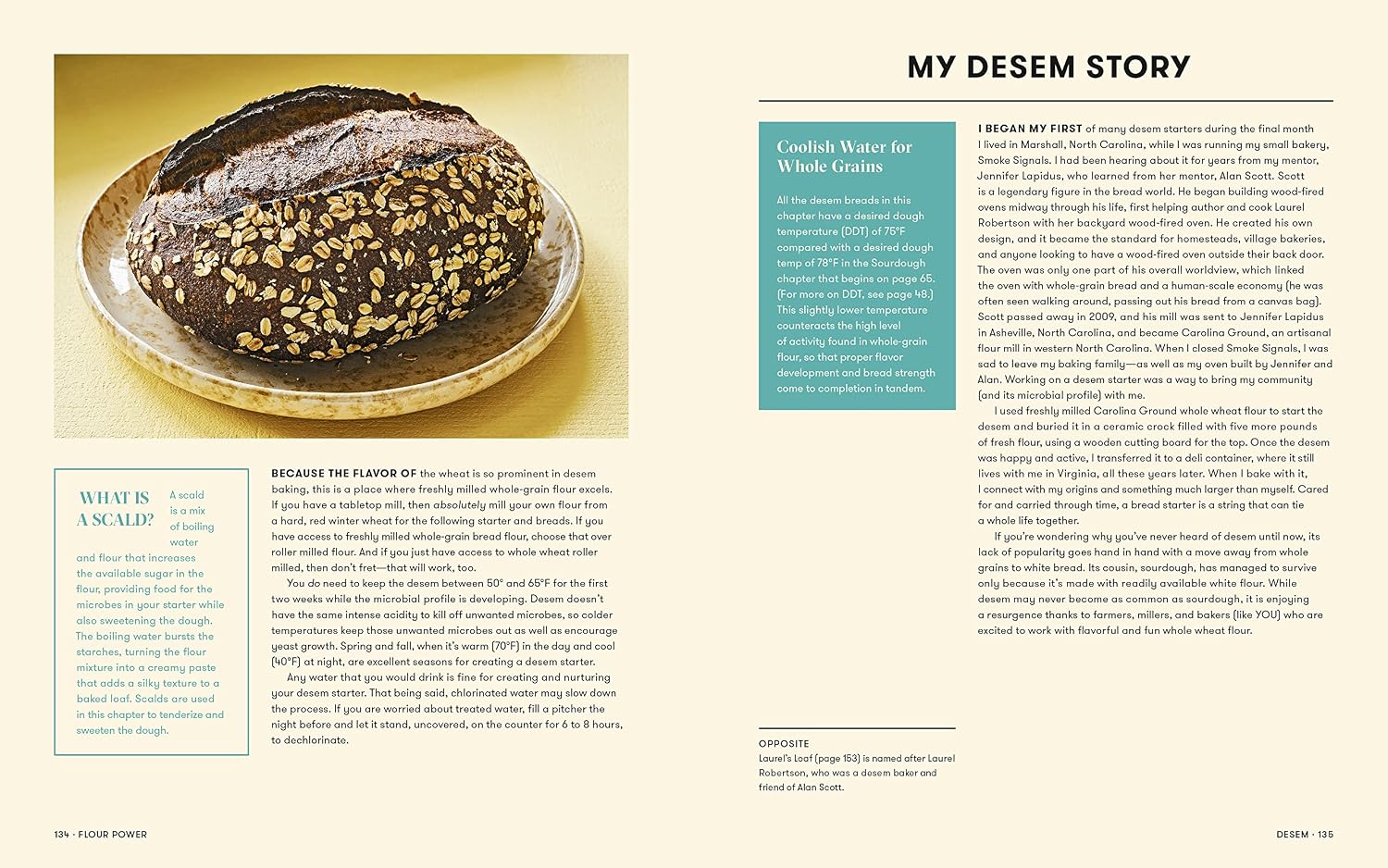 Flour Power: The Practice and Pursuit of Baking Sourdough Bread image 5