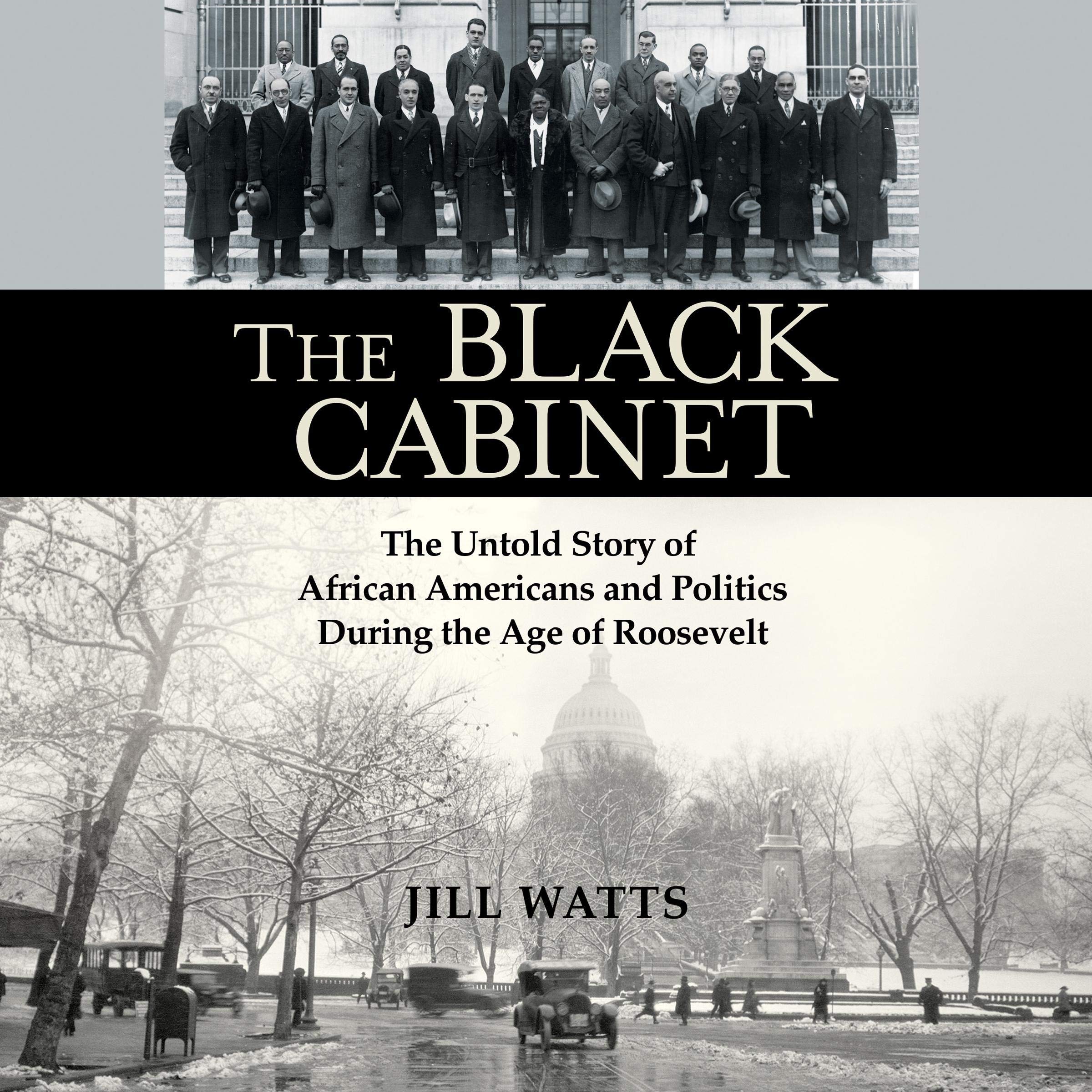 Cover art for The Black Cabinet