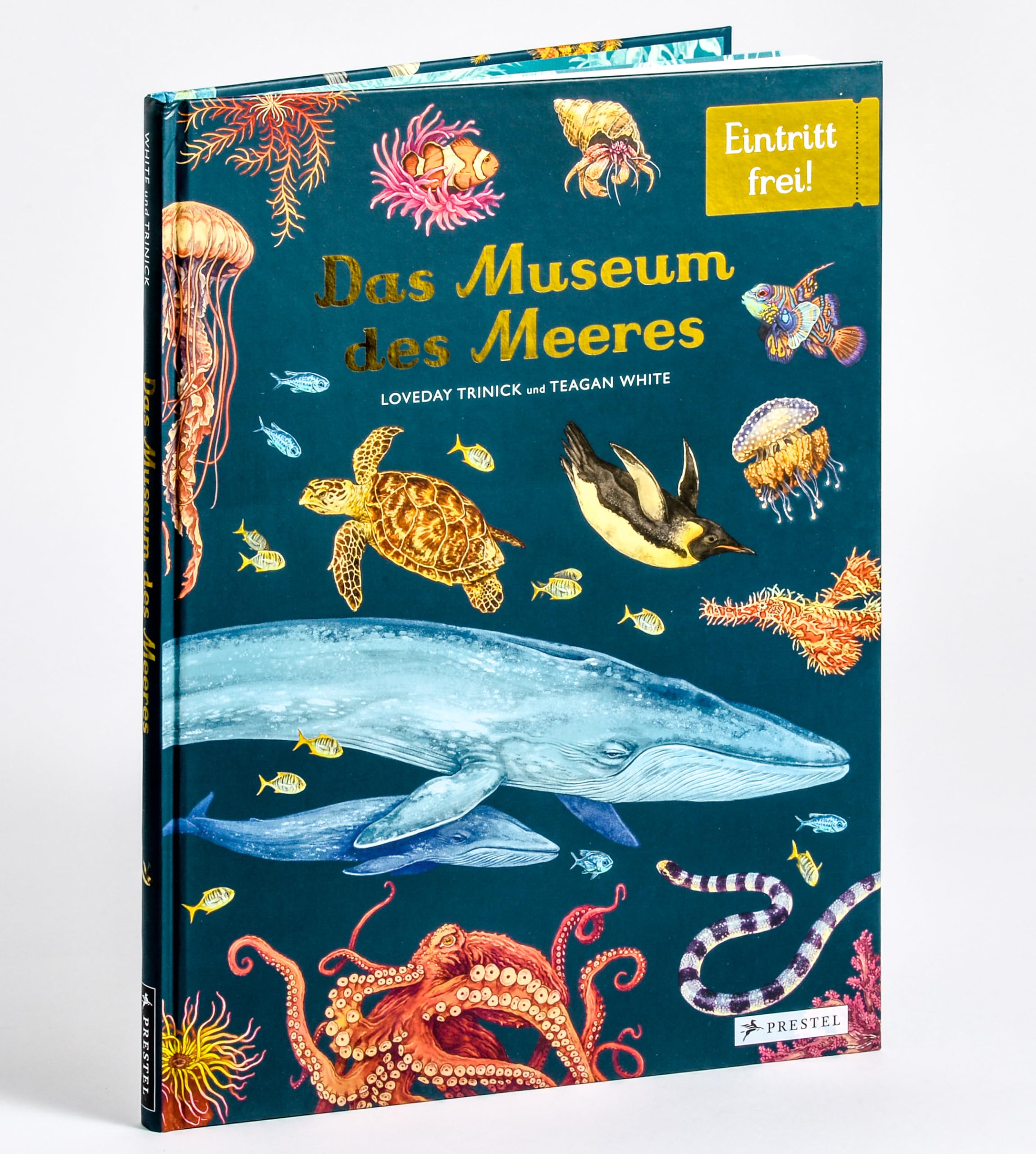 Das Museum des Meeres: Eintritt frei! - Sachbilderbuch im Großformat für Kinder ab 8 Jahren mit zauberhaften Illustrationen von Teagan White