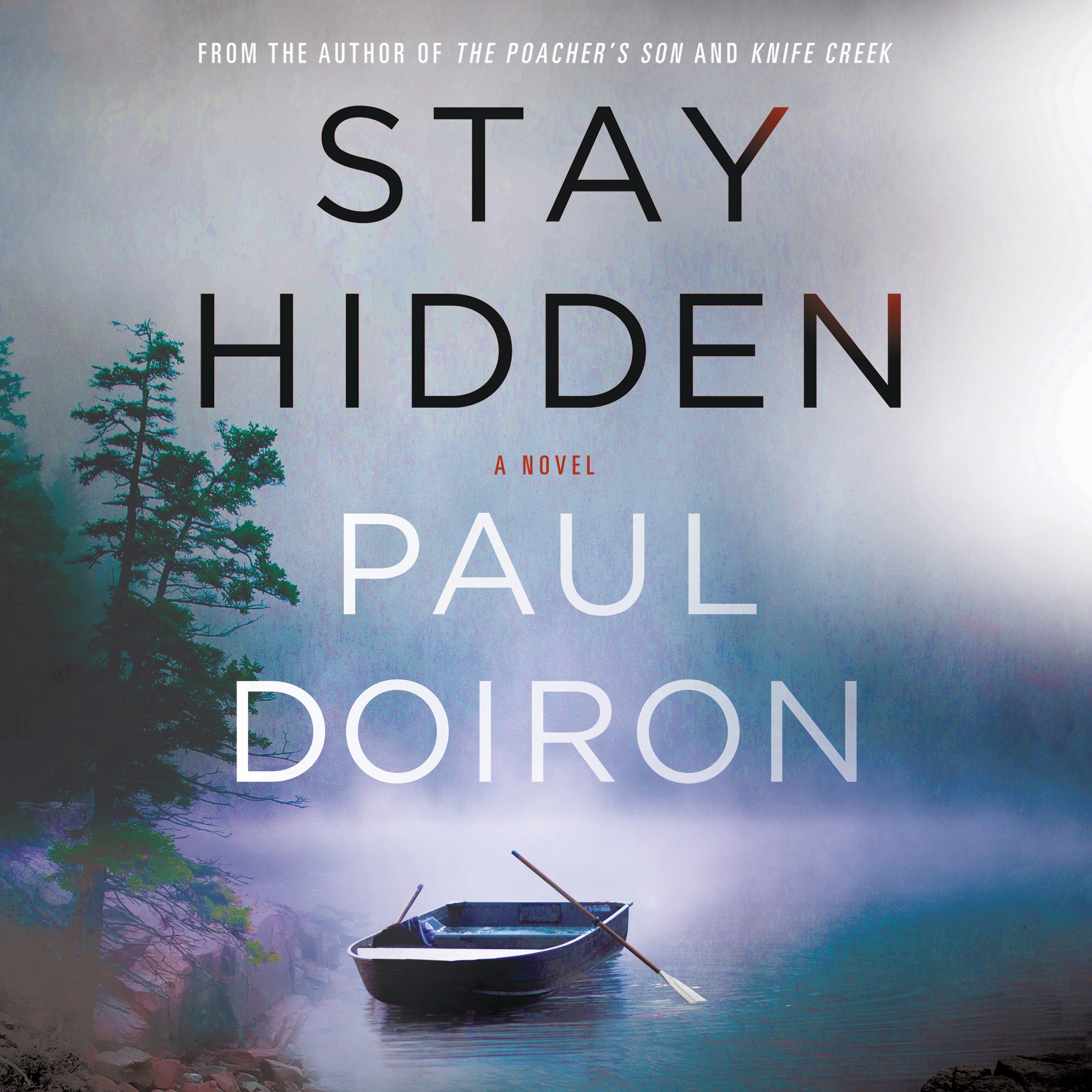 Cover art for Stay Hidden