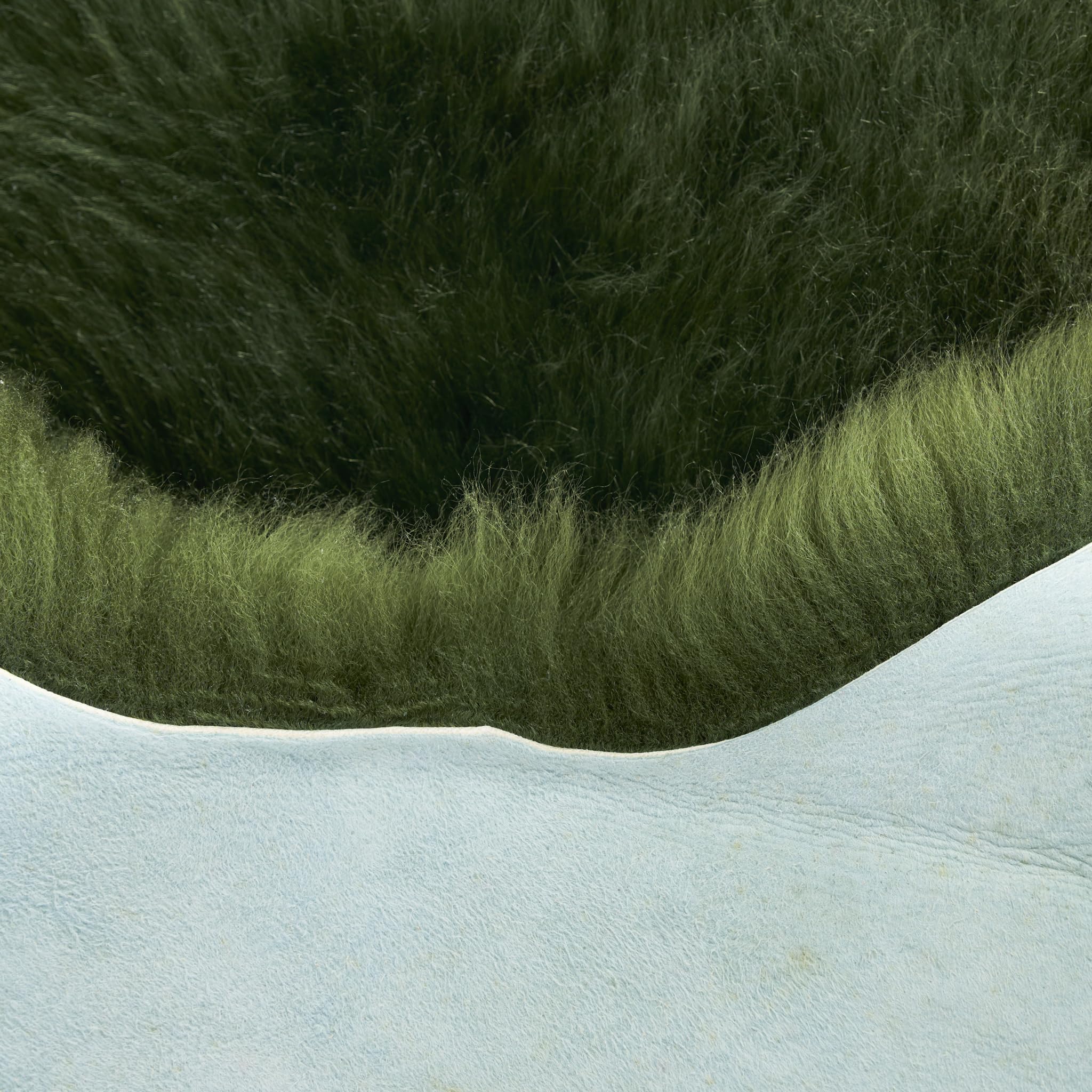 Peau d'agneau australienne véritable - Vert - 90 x 60 cm - Peau de mouton véritable - Fourrure naturelle