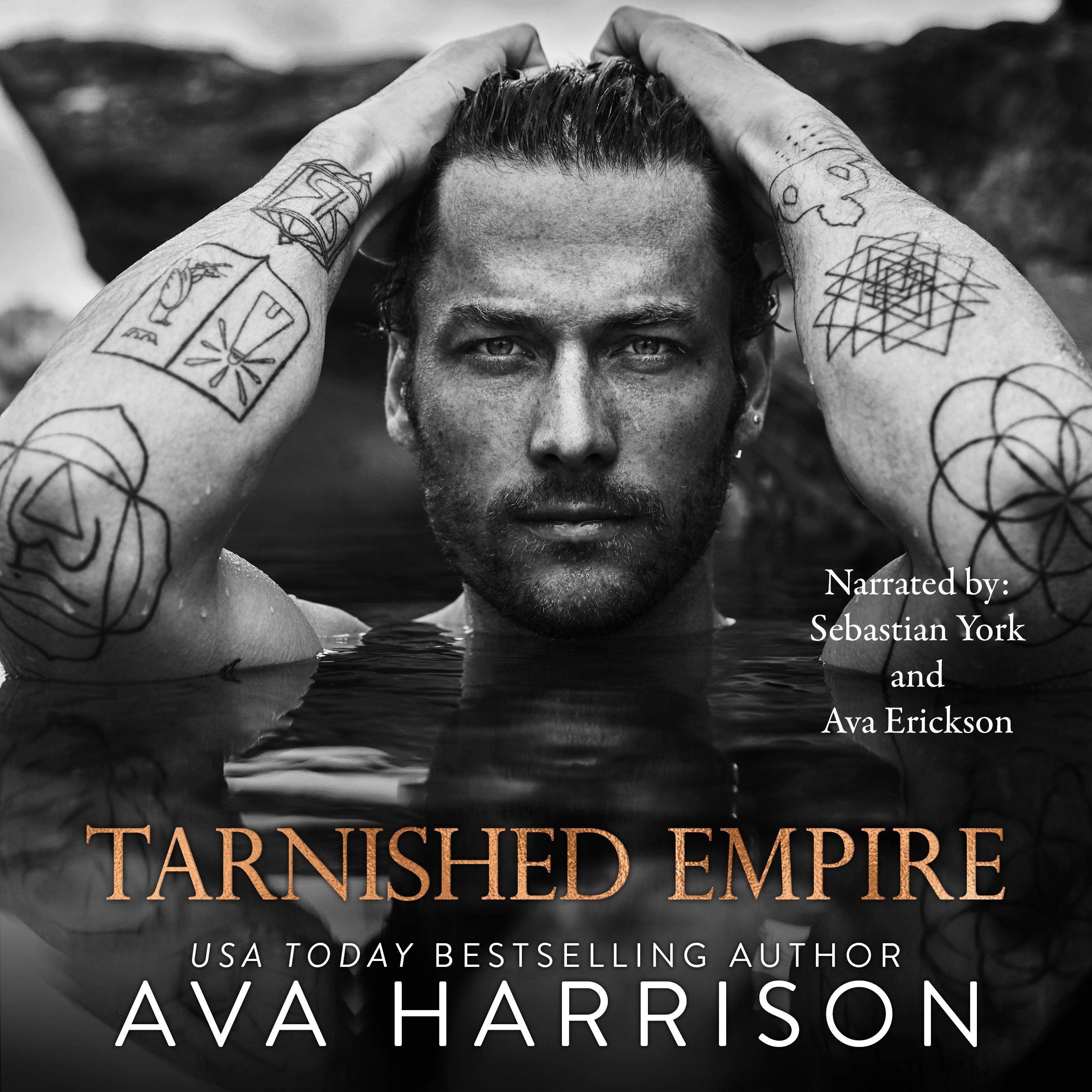 Cover art for Tarnished Empire
